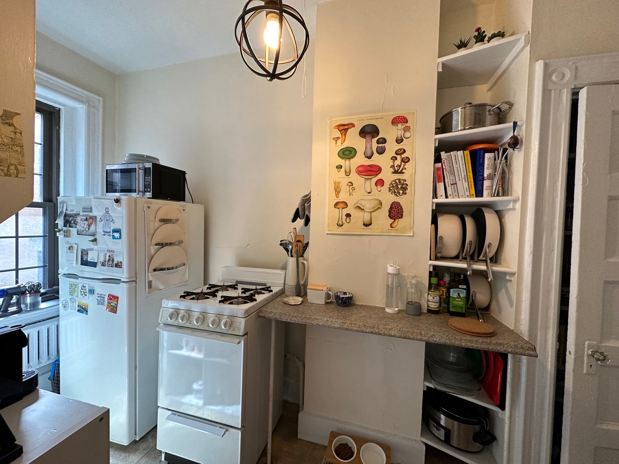 99 Myrtle St, Beacon Hill