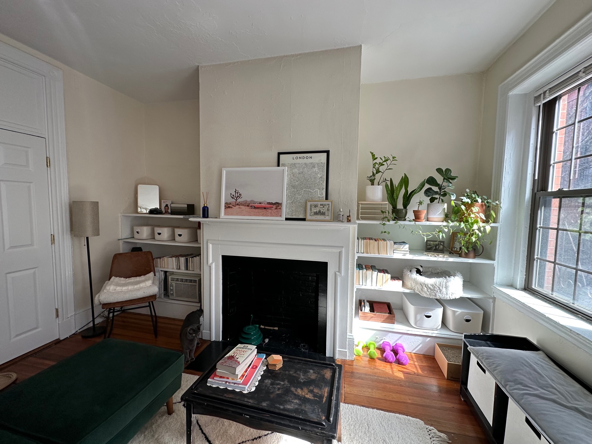 99 Myrtle St, Beacon Hill