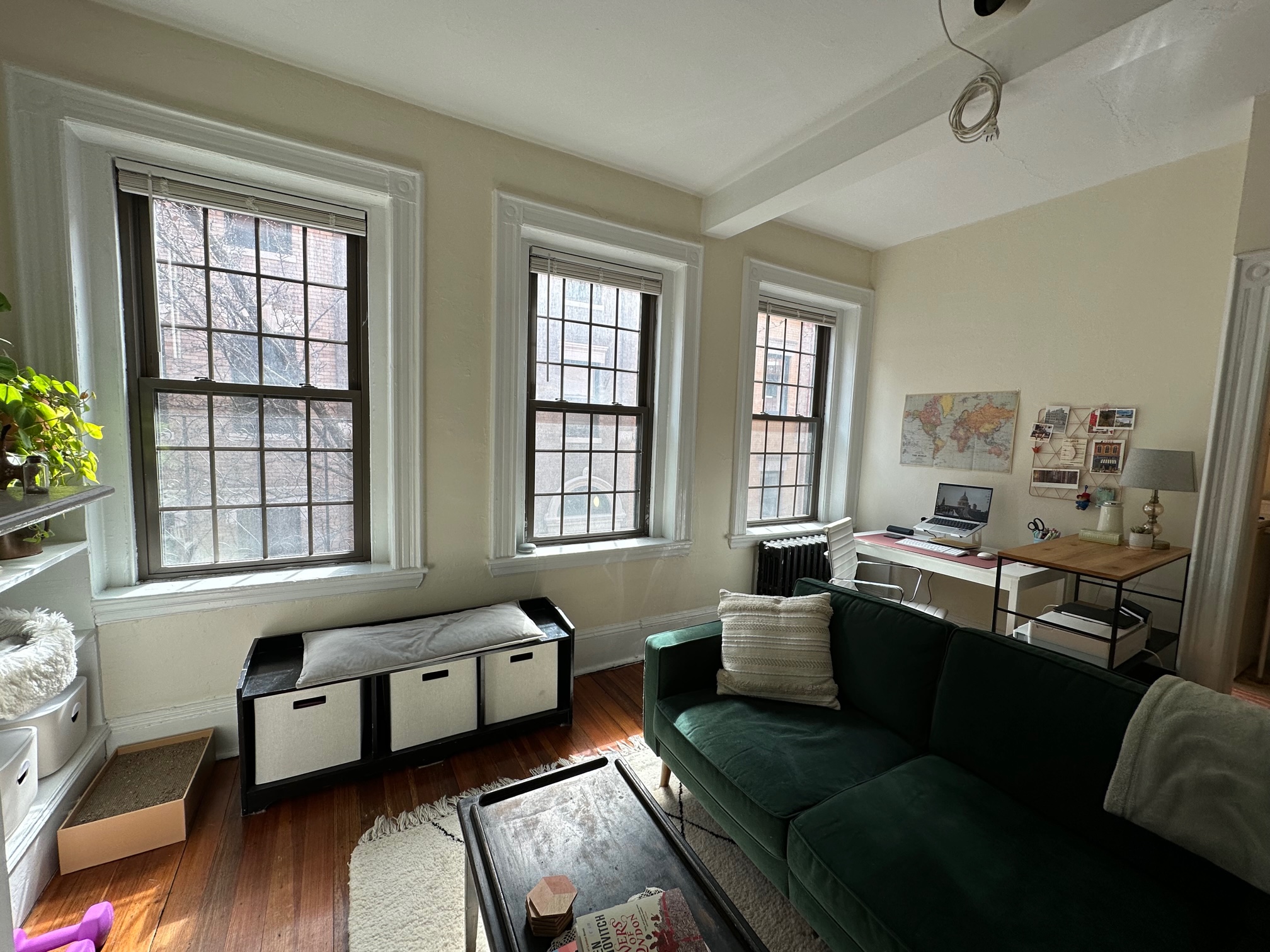 99 Myrtle St, Beacon Hill