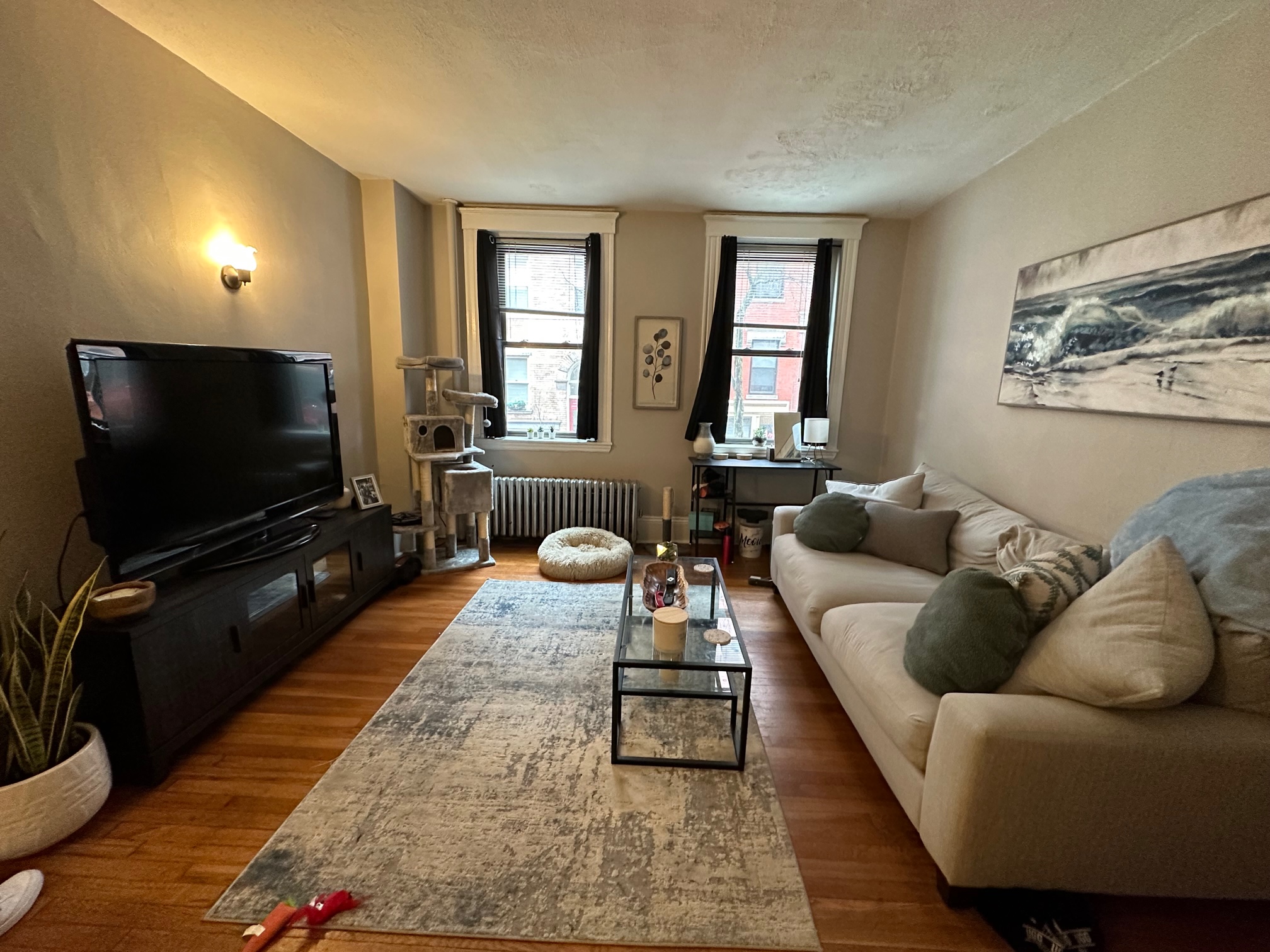 7 Grove St, Beacon Hill