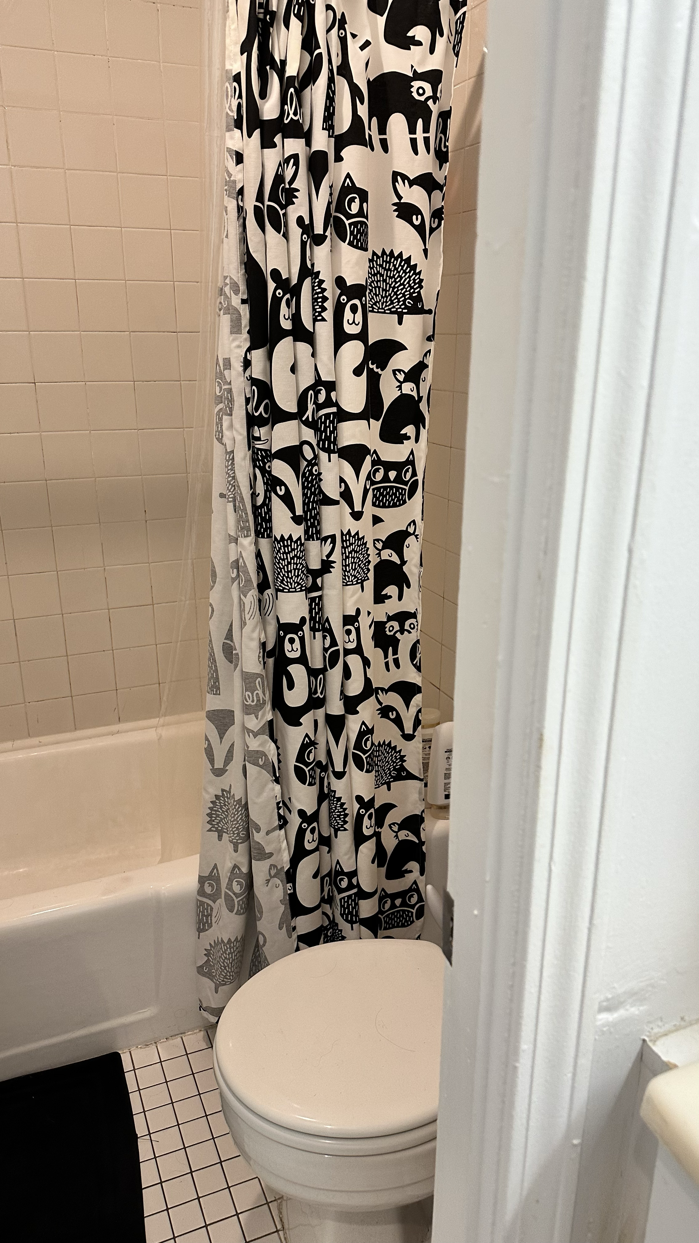 45 Westland Ave, Fenway