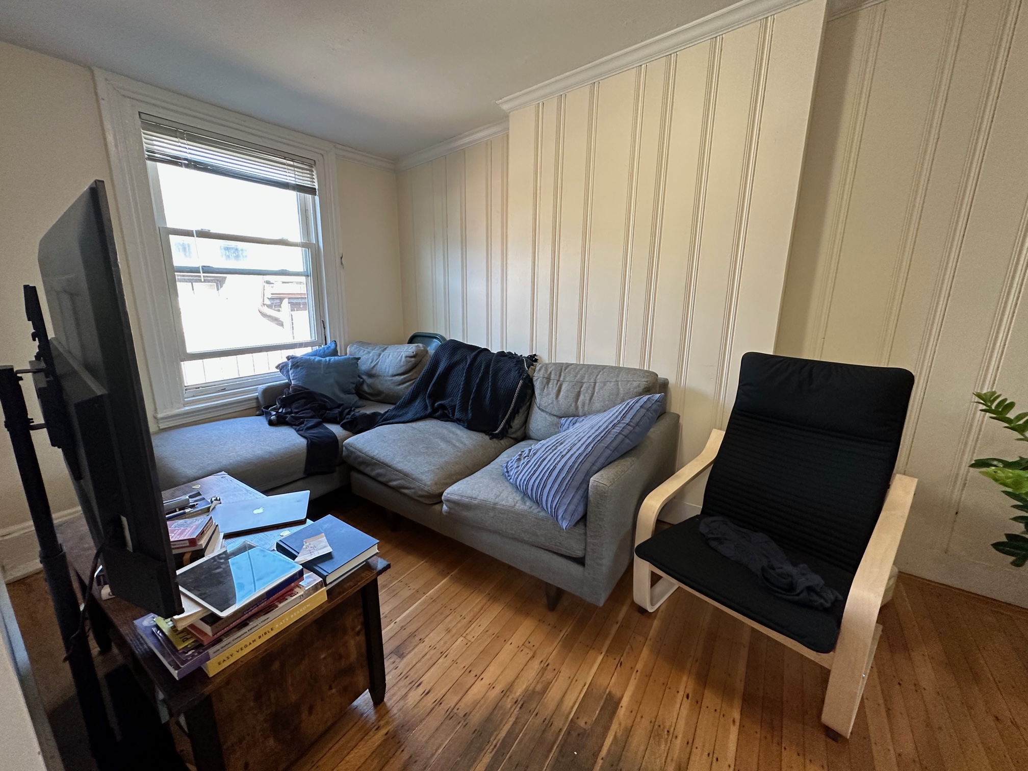 41 Russell St, Beacon Hill