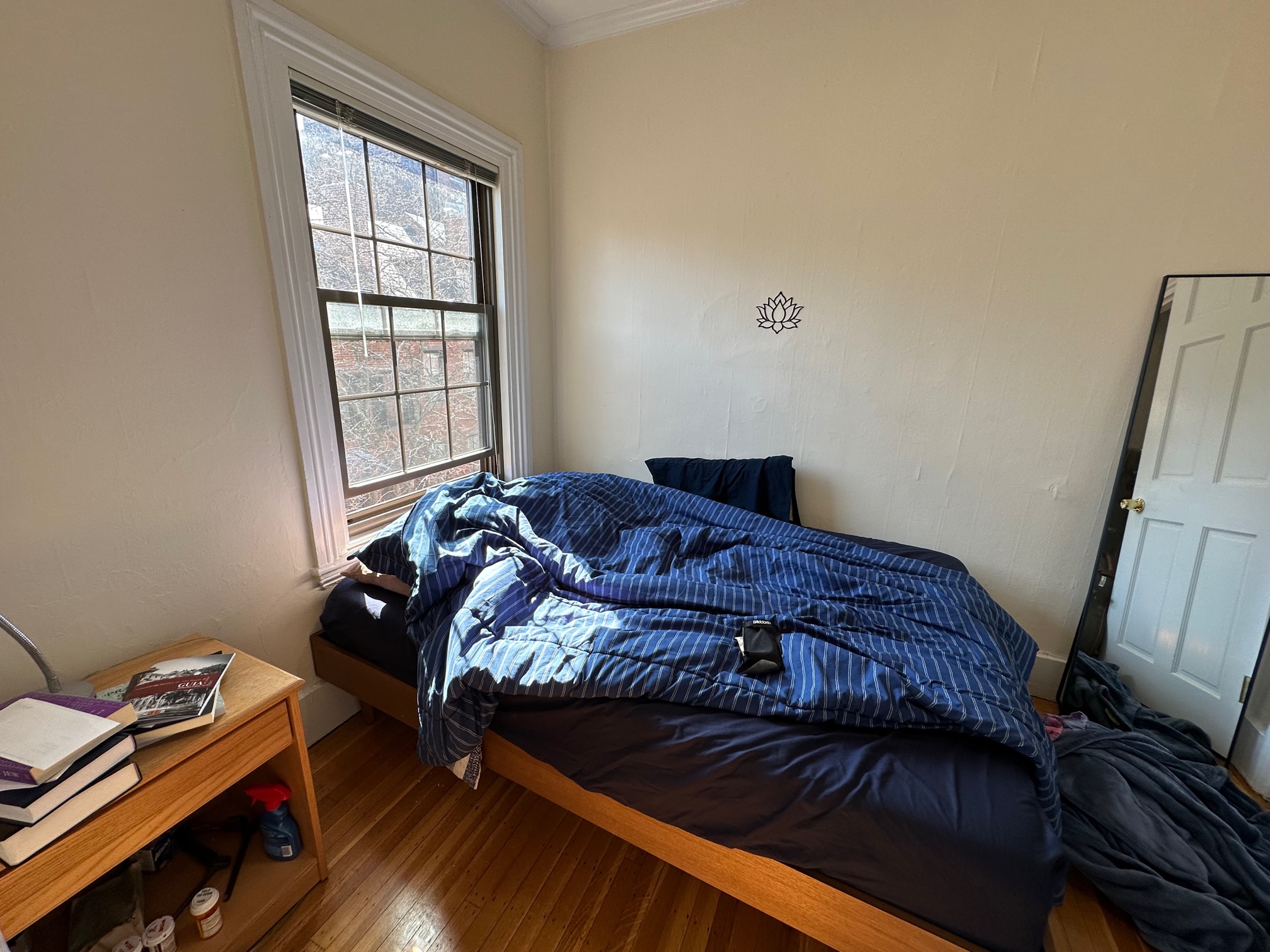 41 Russell St, Beacon Hill