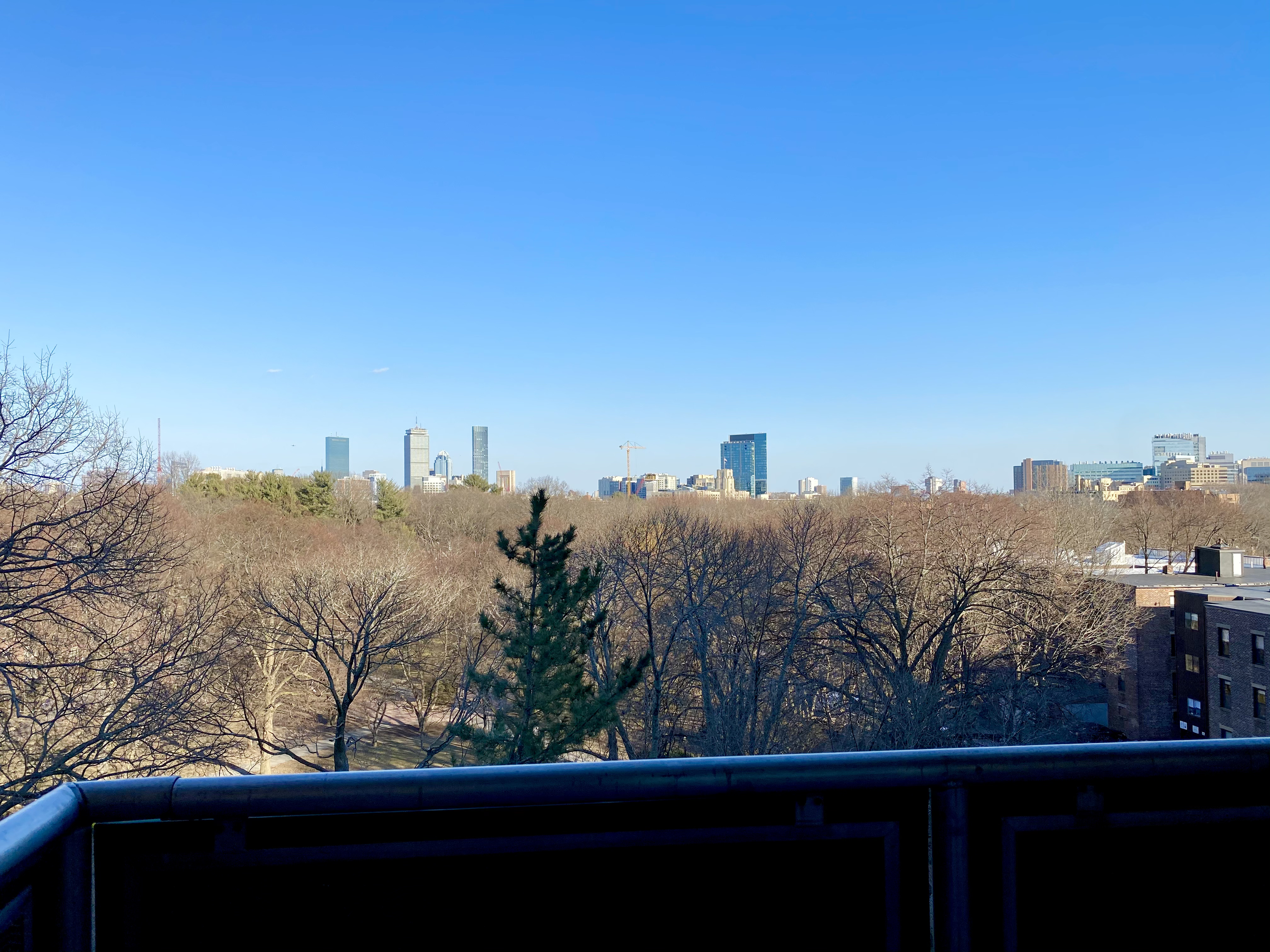 175 Freeman, Coolidge Corner