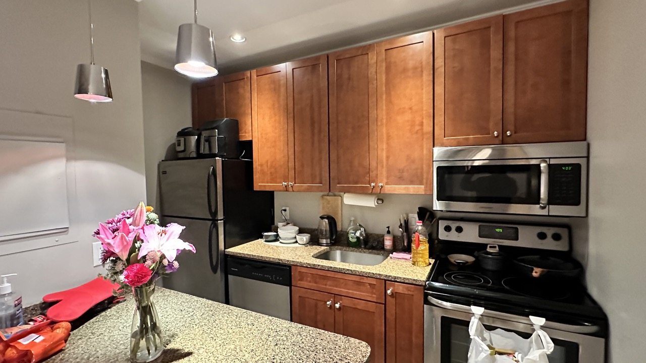 17 Garrison St, Back Bay