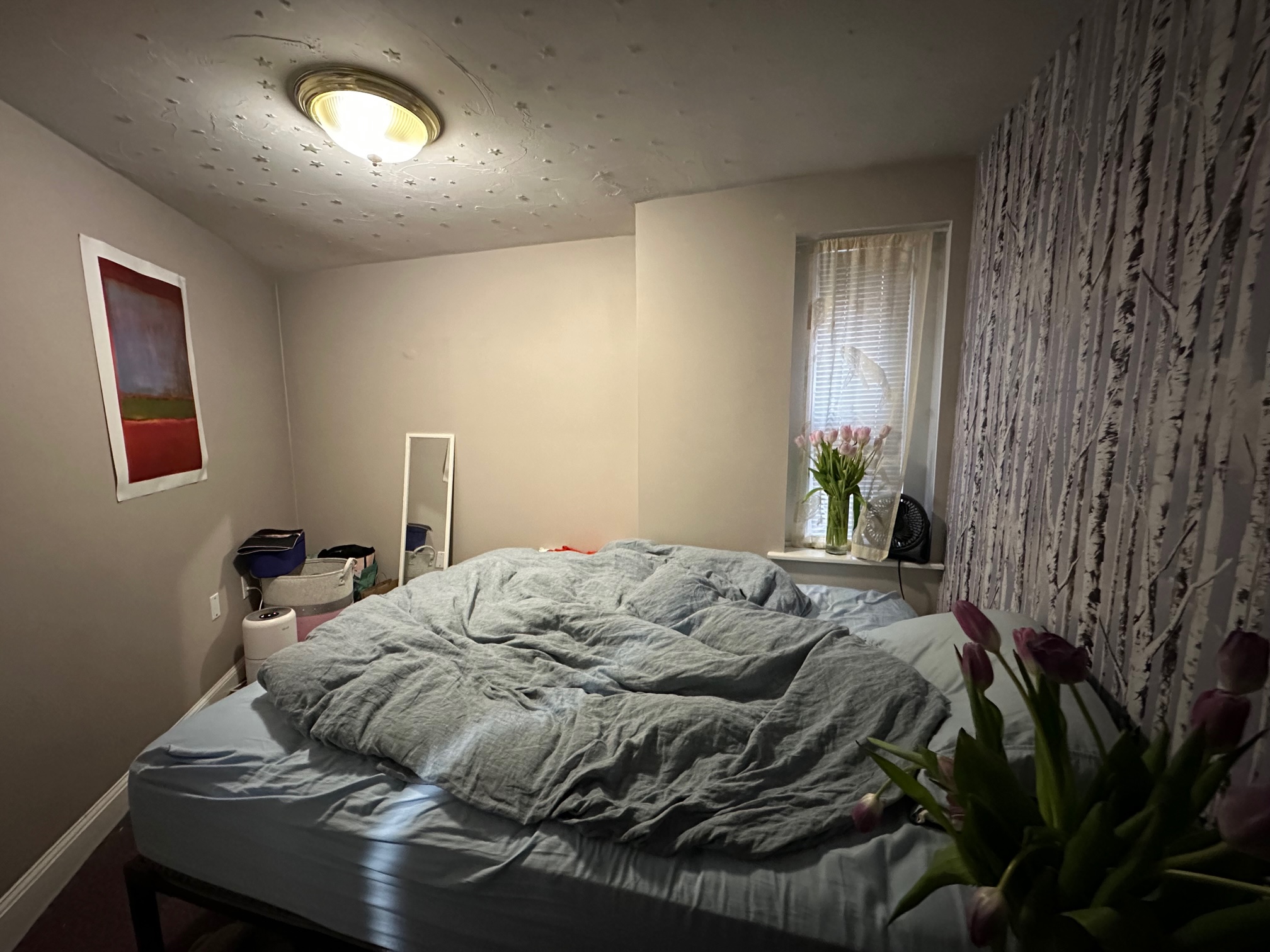 47 Garden St, Beacon Hill