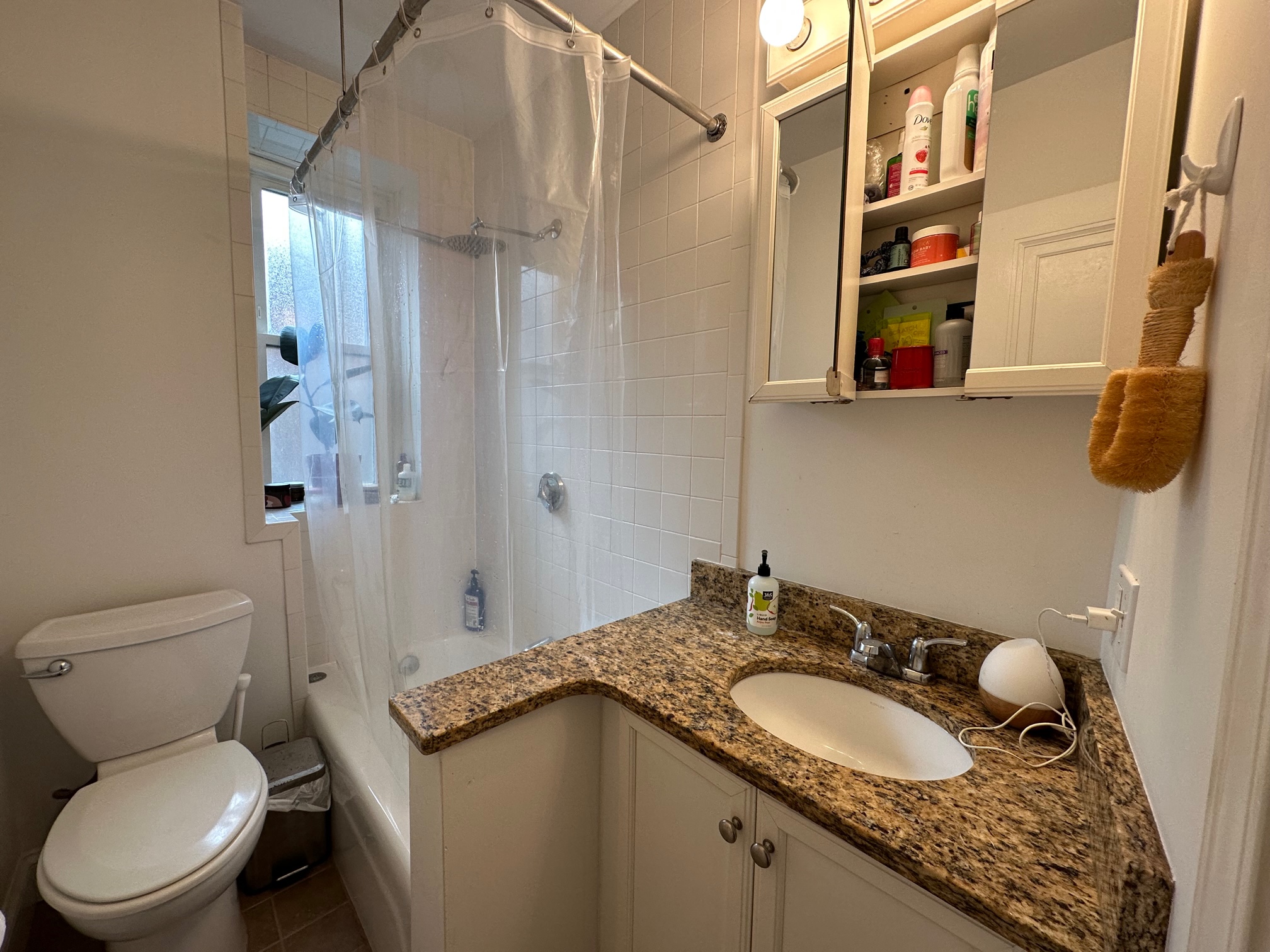 26 Myrtle St, Beacon Hill