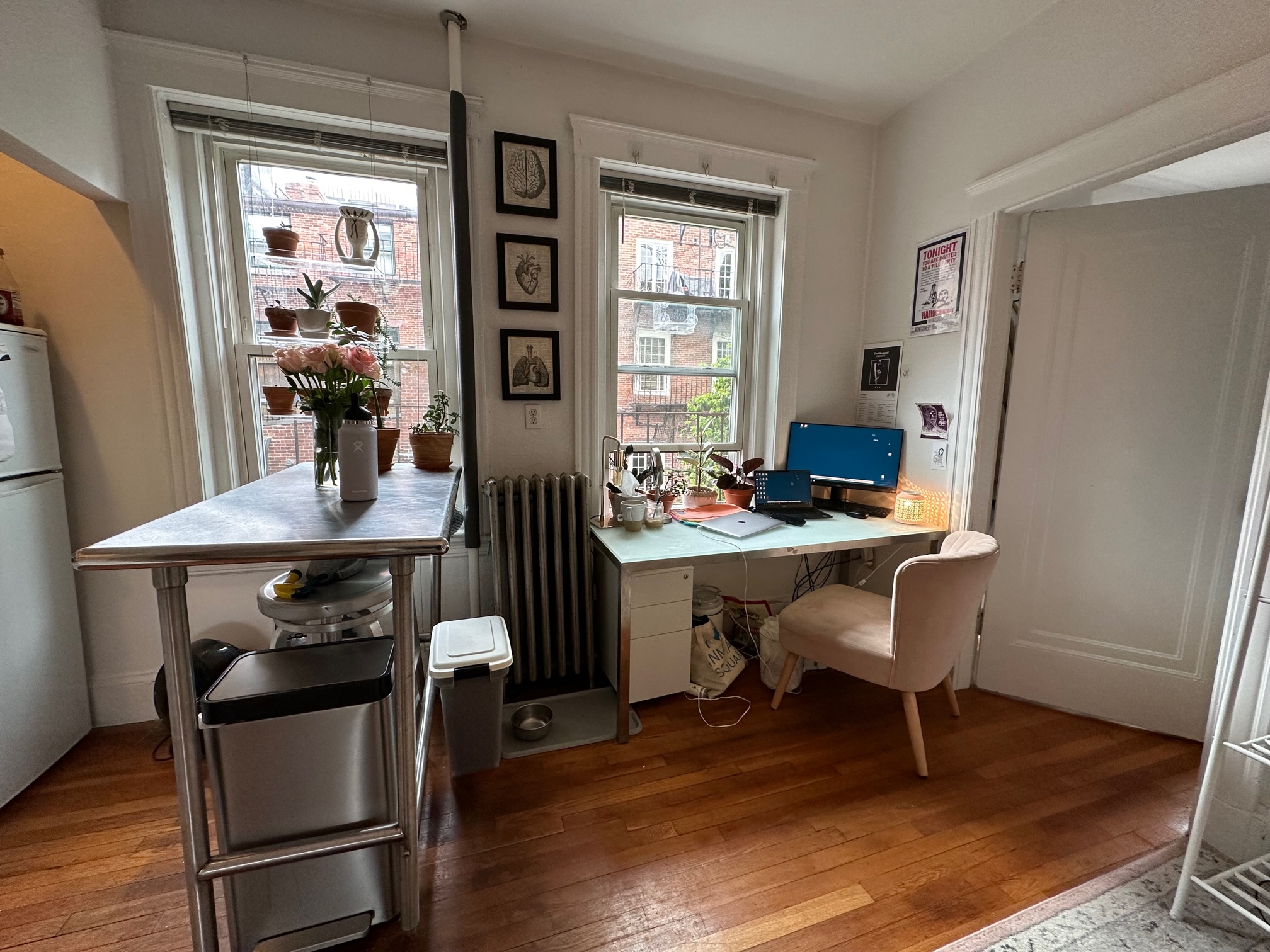 26 Myrtle St, Beacon Hill