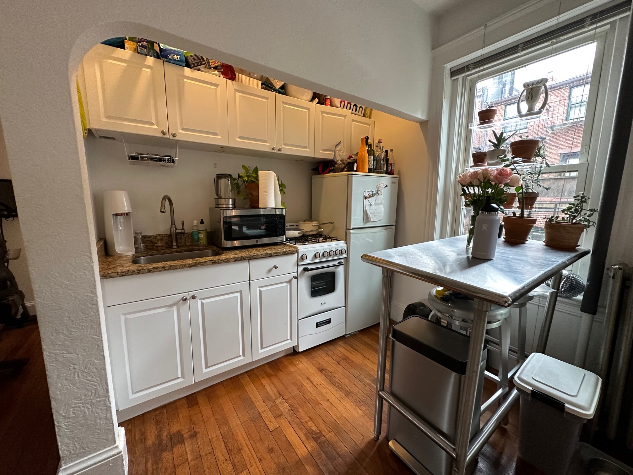 26 Myrtle St, Beacon Hill