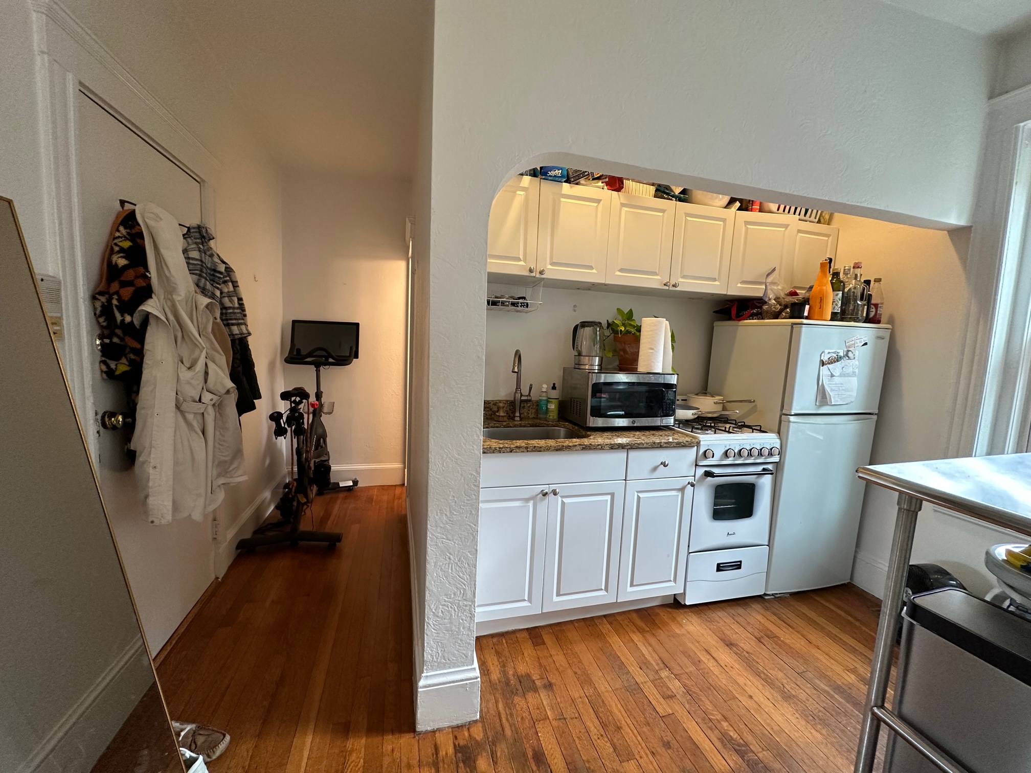 26 Myrtle St, Beacon Hill