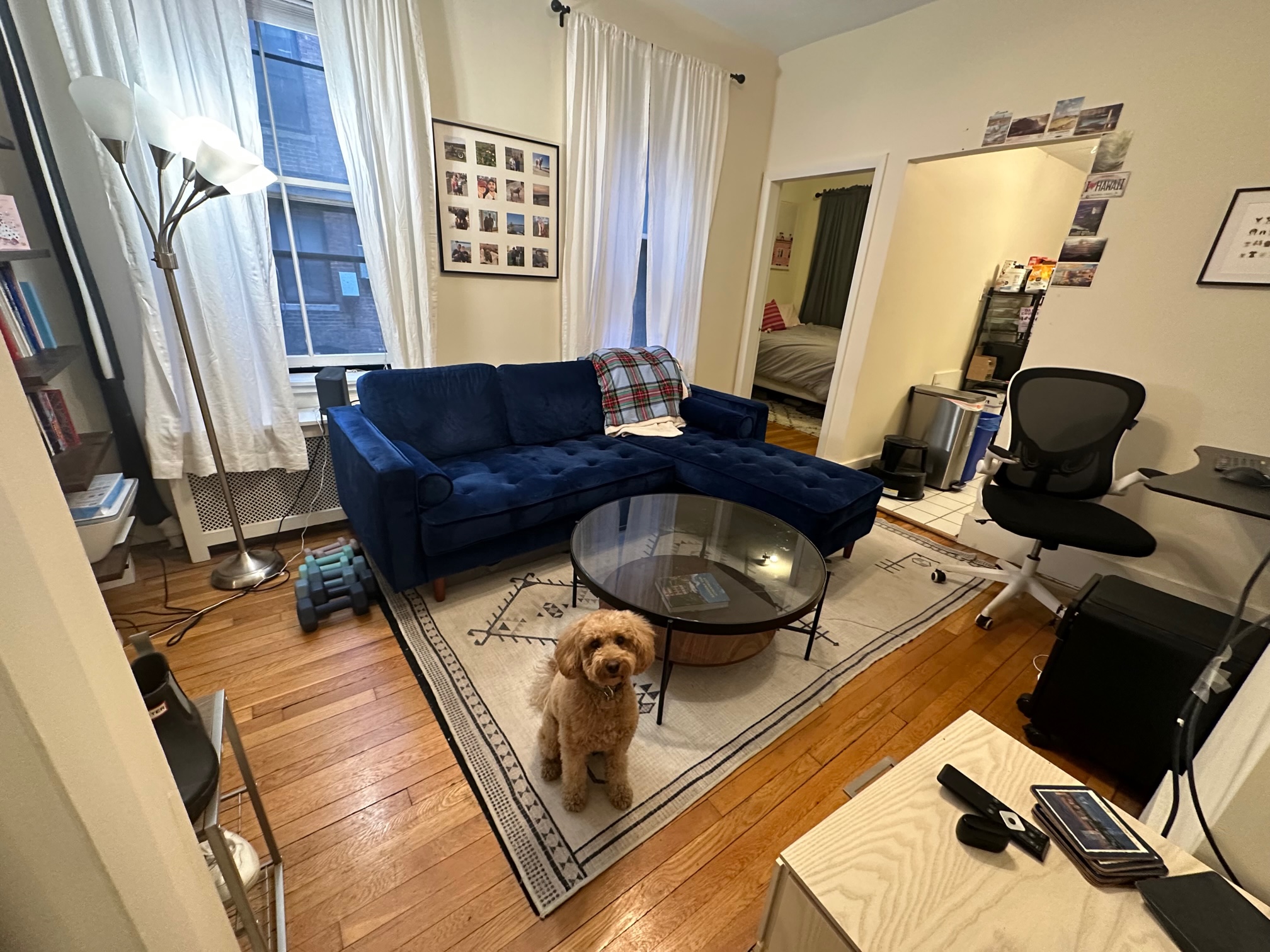 11 Irving St, Beacon Hill