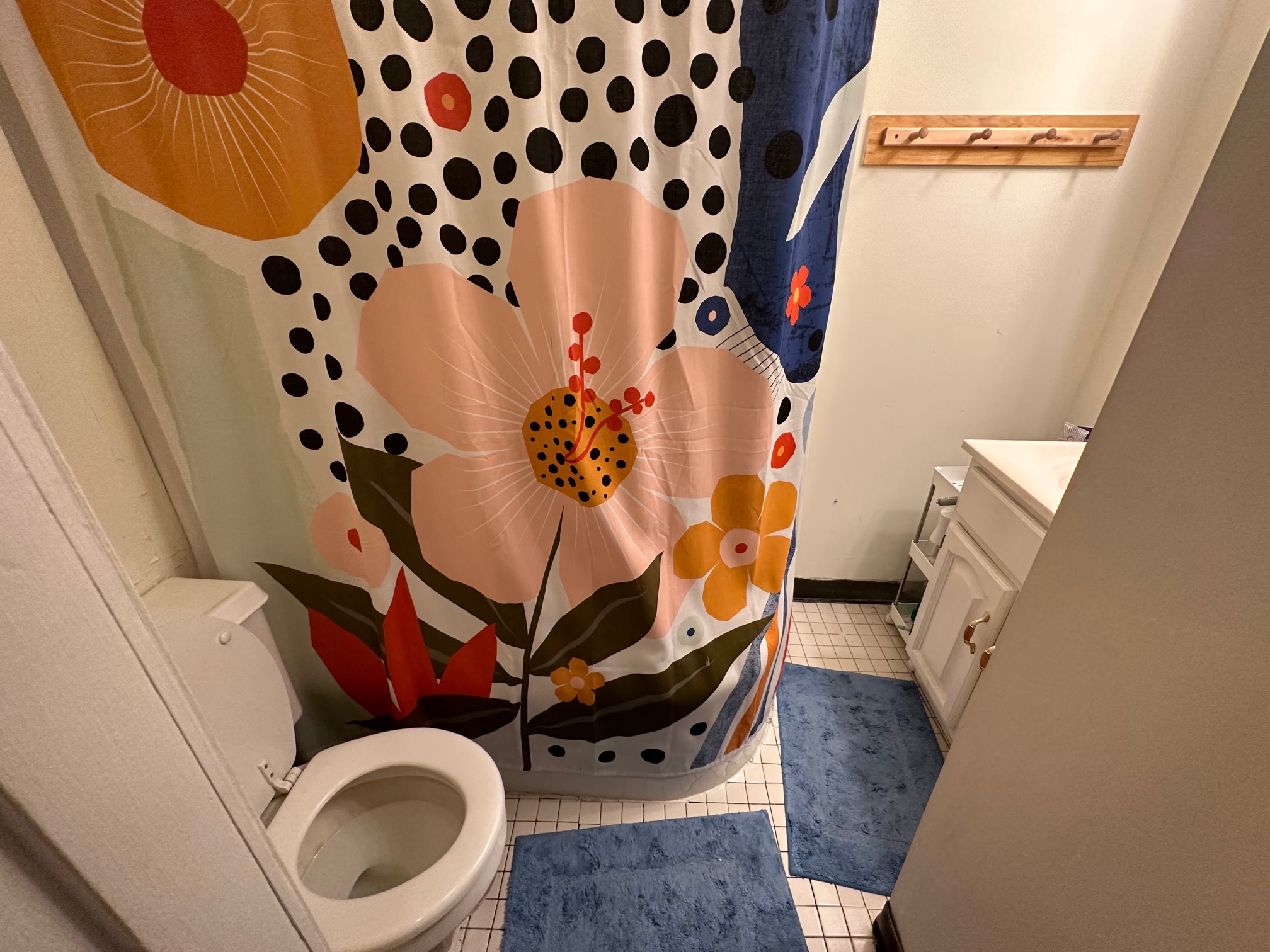 11 Irving St, Beacon Hill