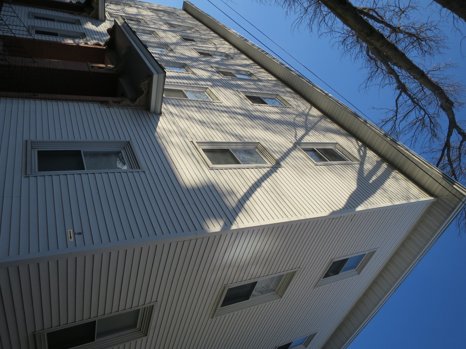 9 Bristol, East Cambridge