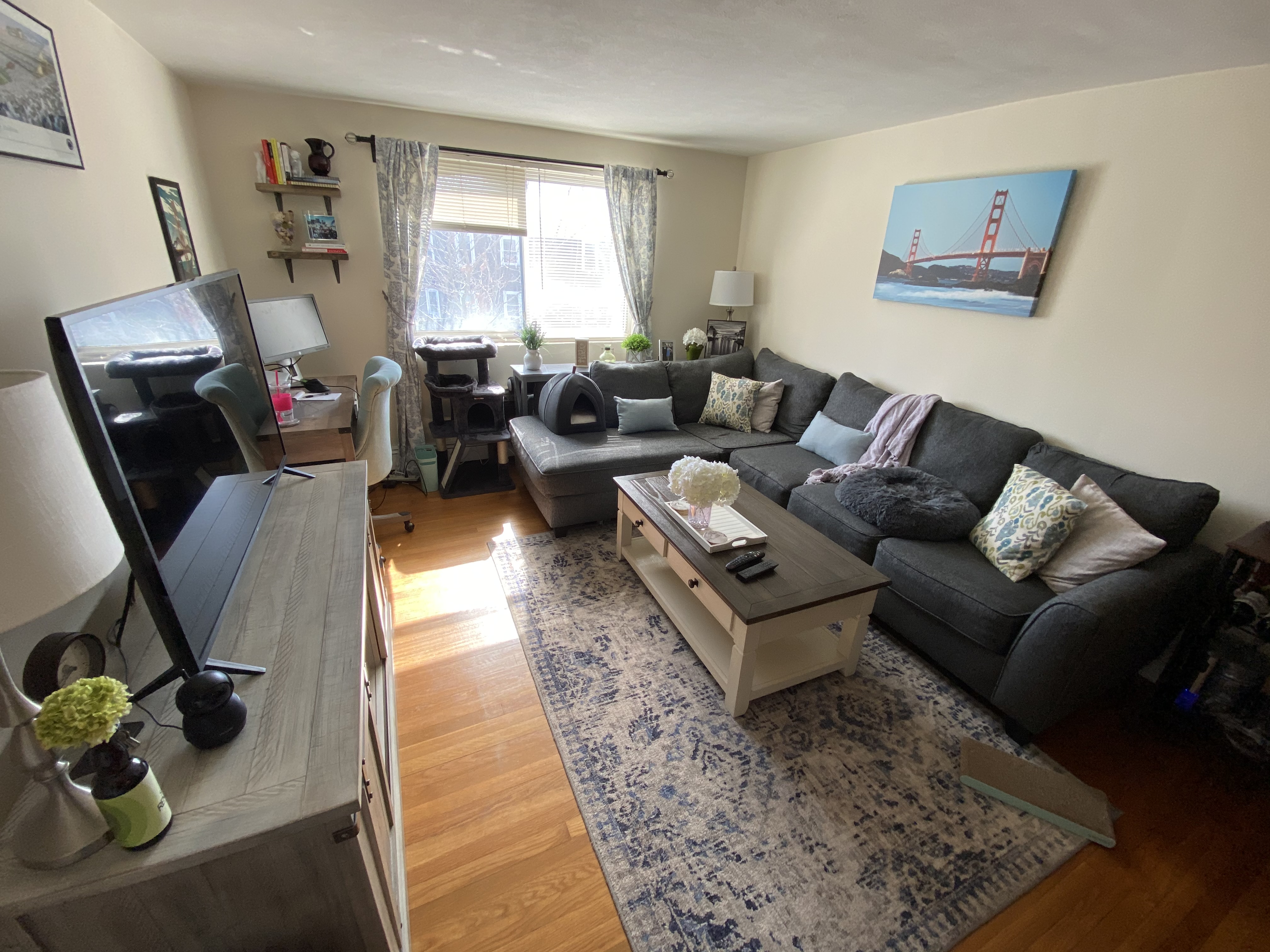 445 Washington St, Brighton