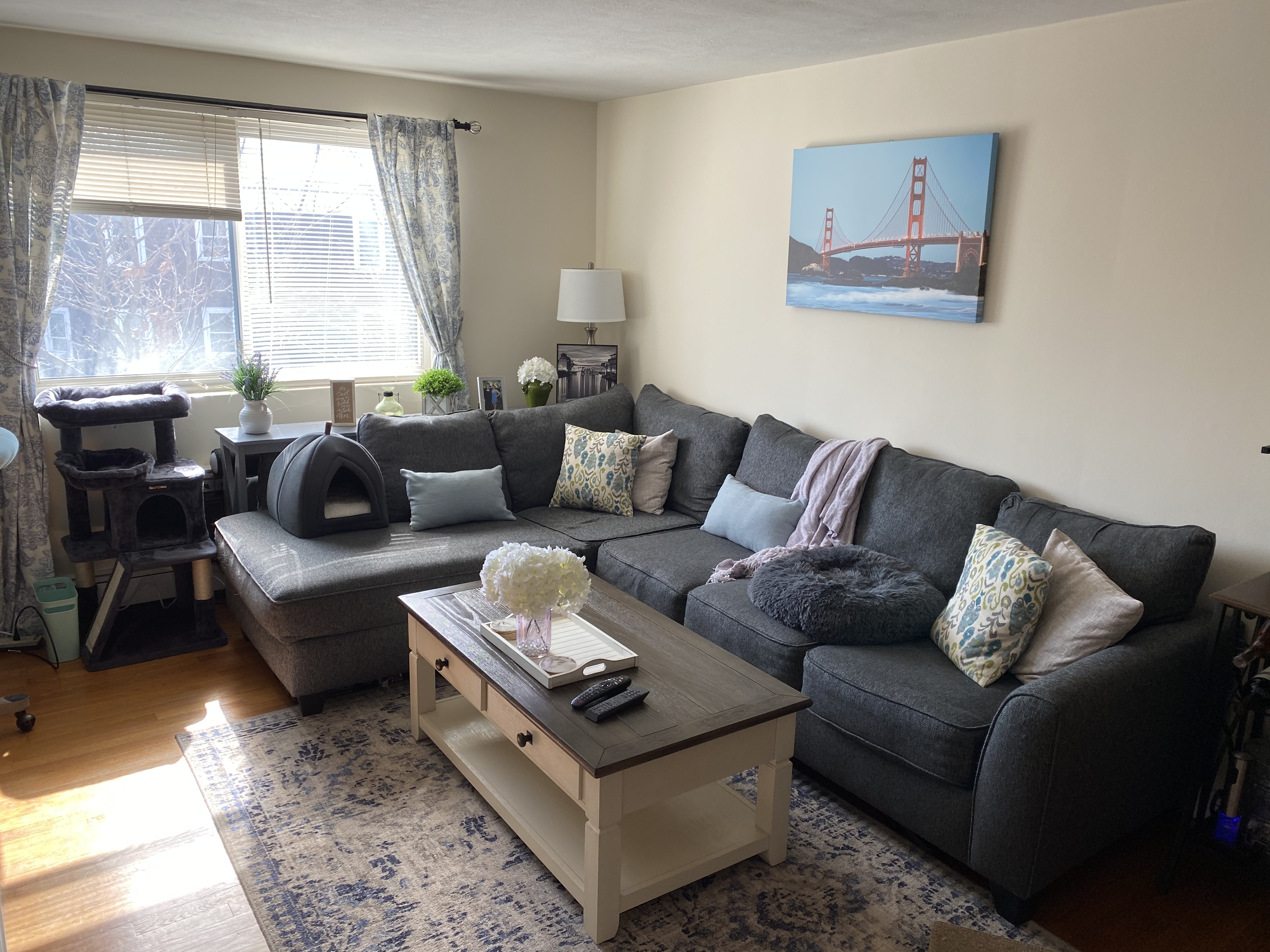 445 Washington St, Brighton