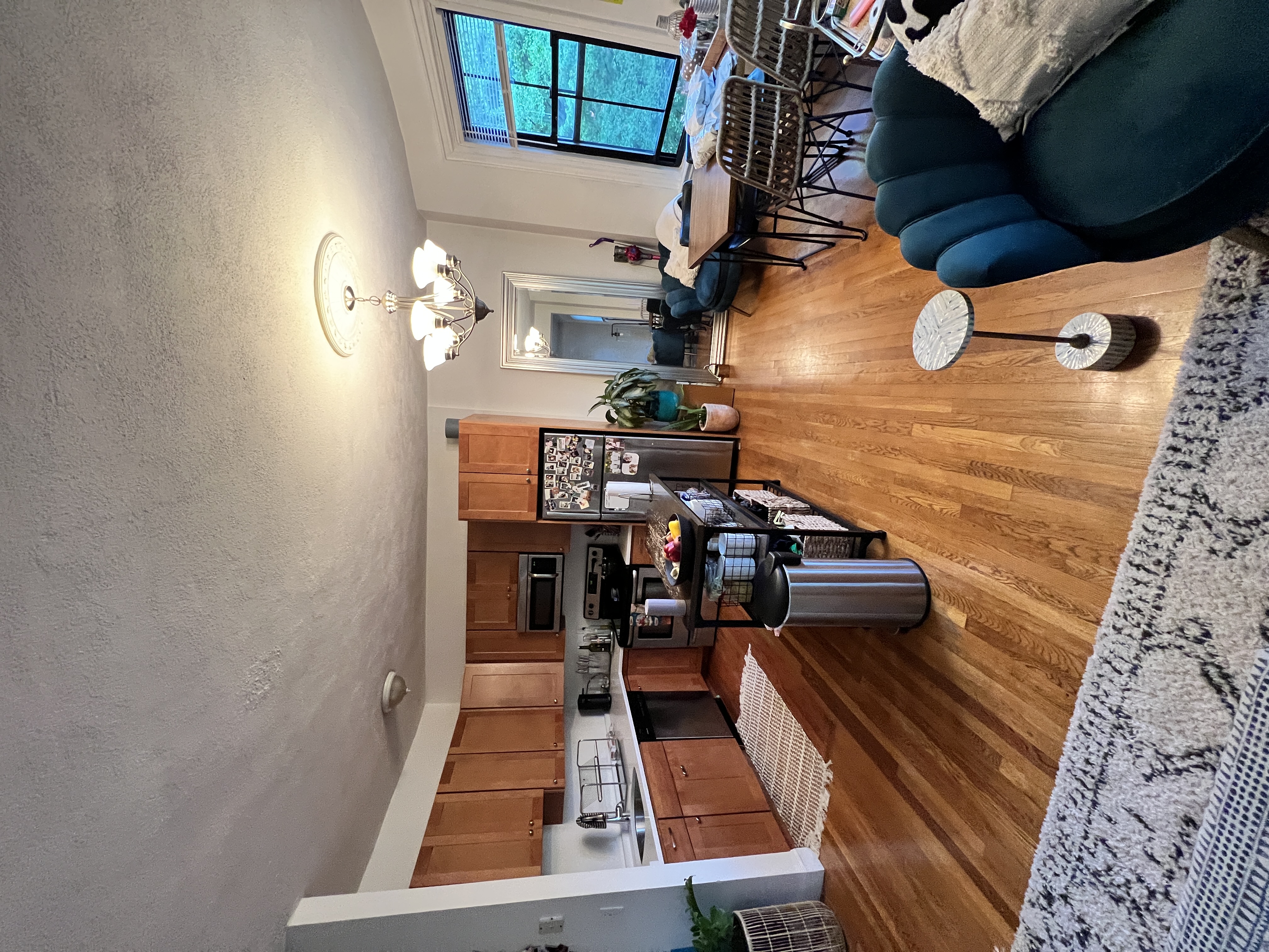 41 E Springfield St, South End