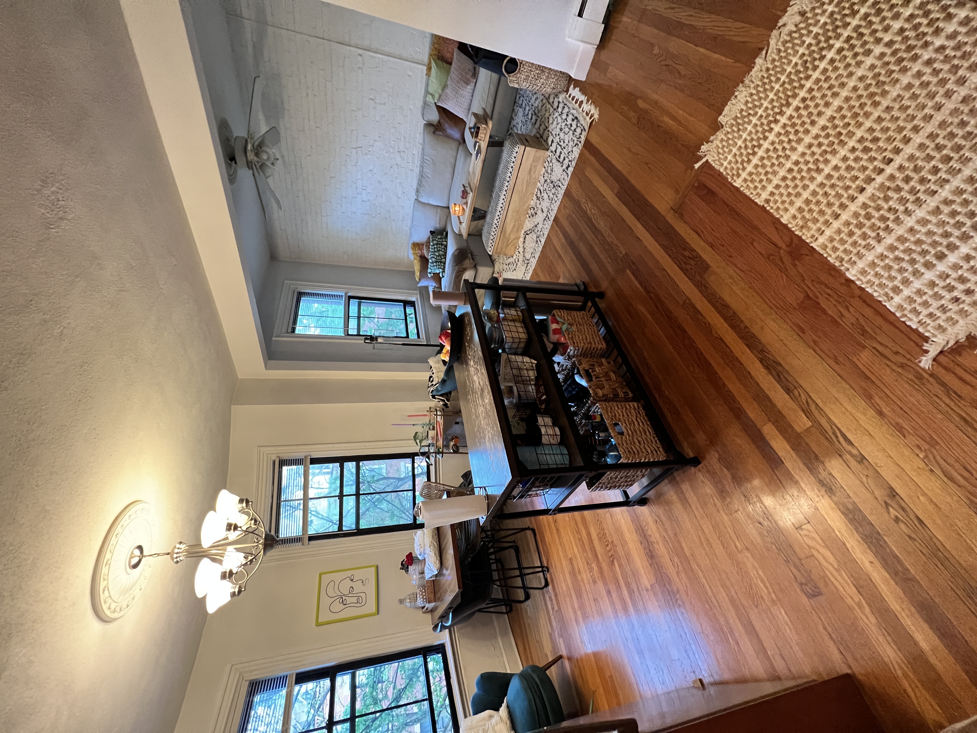 41 E Springfield St, South End