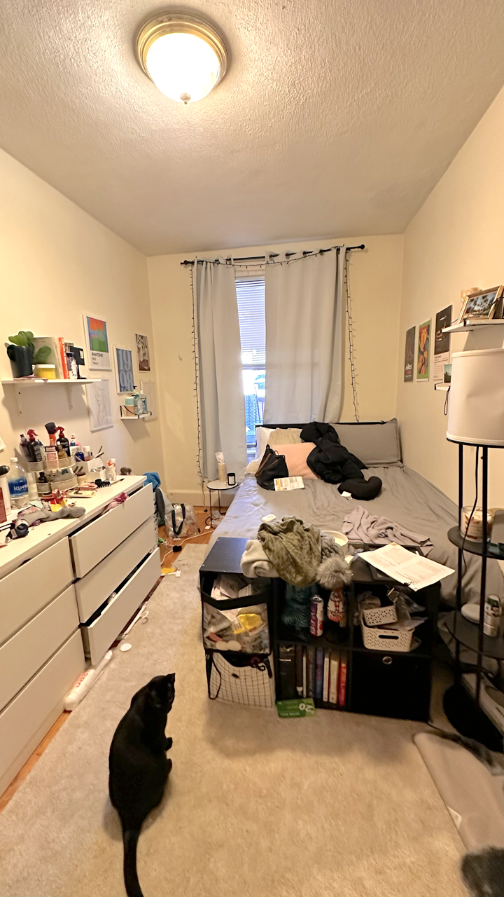 12 Dean Rd, Washington Square