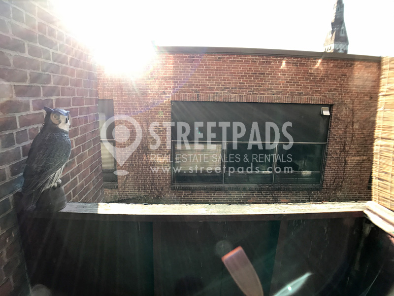 12 Alton Pl, Coolidge Corner