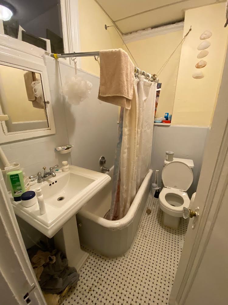 26 Myrtle St, Beacon Hill