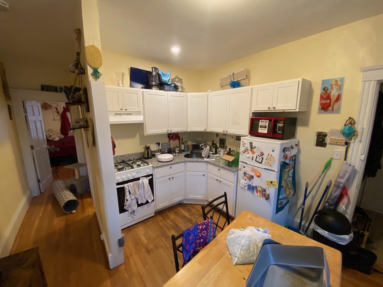 26 Myrtle St, Beacon Hill