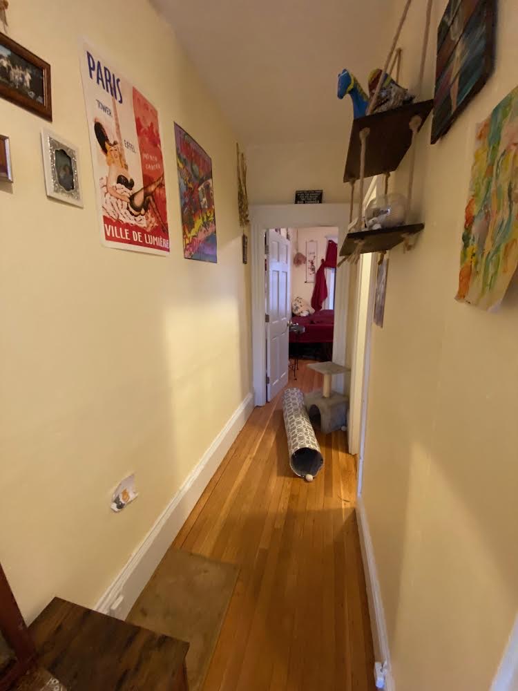 26 Myrtle St, Beacon Hill