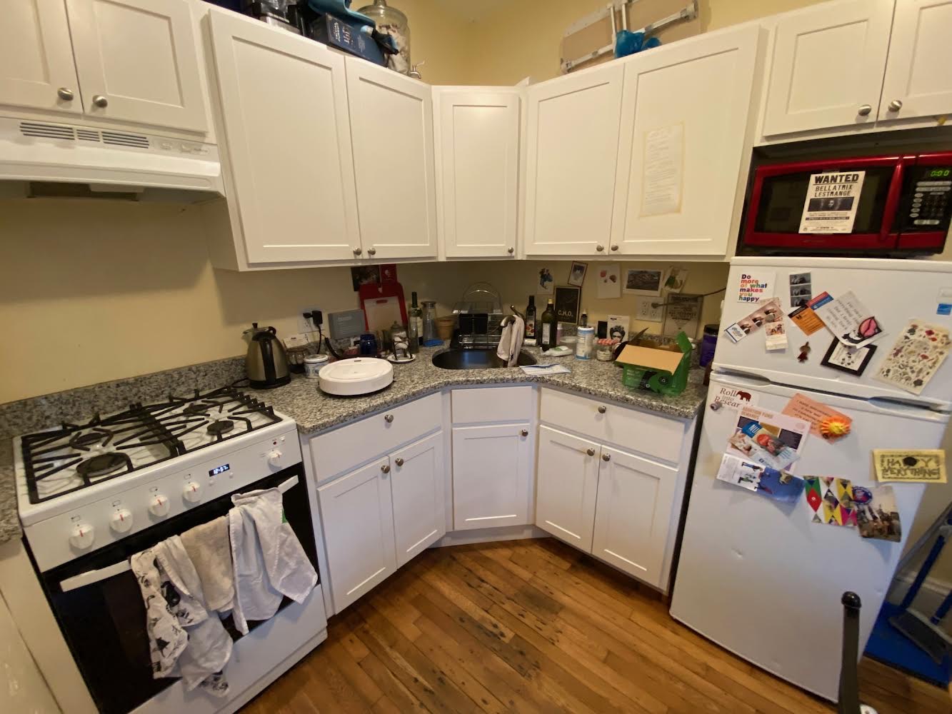 26 Myrtle St, Beacon Hill