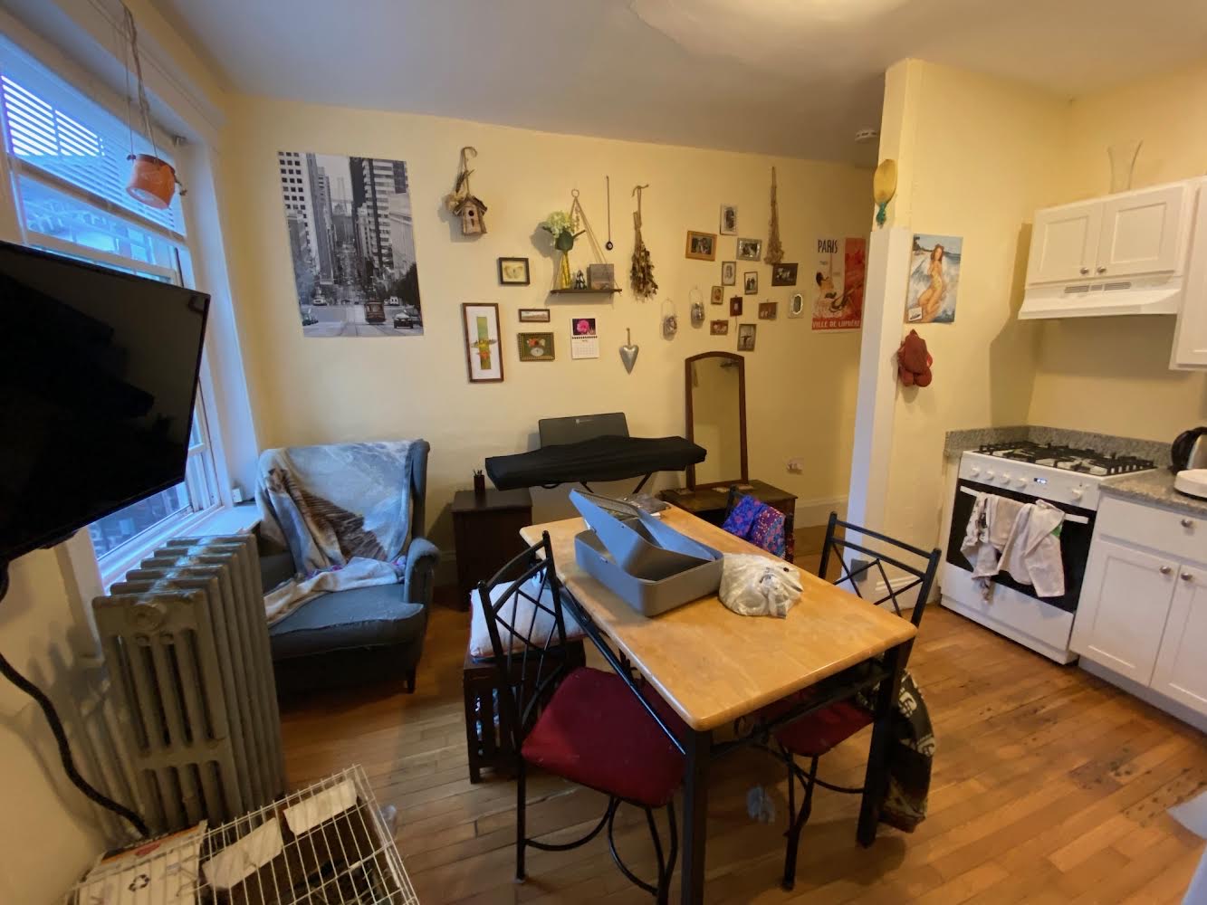 26 Myrtle St, Beacon Hill