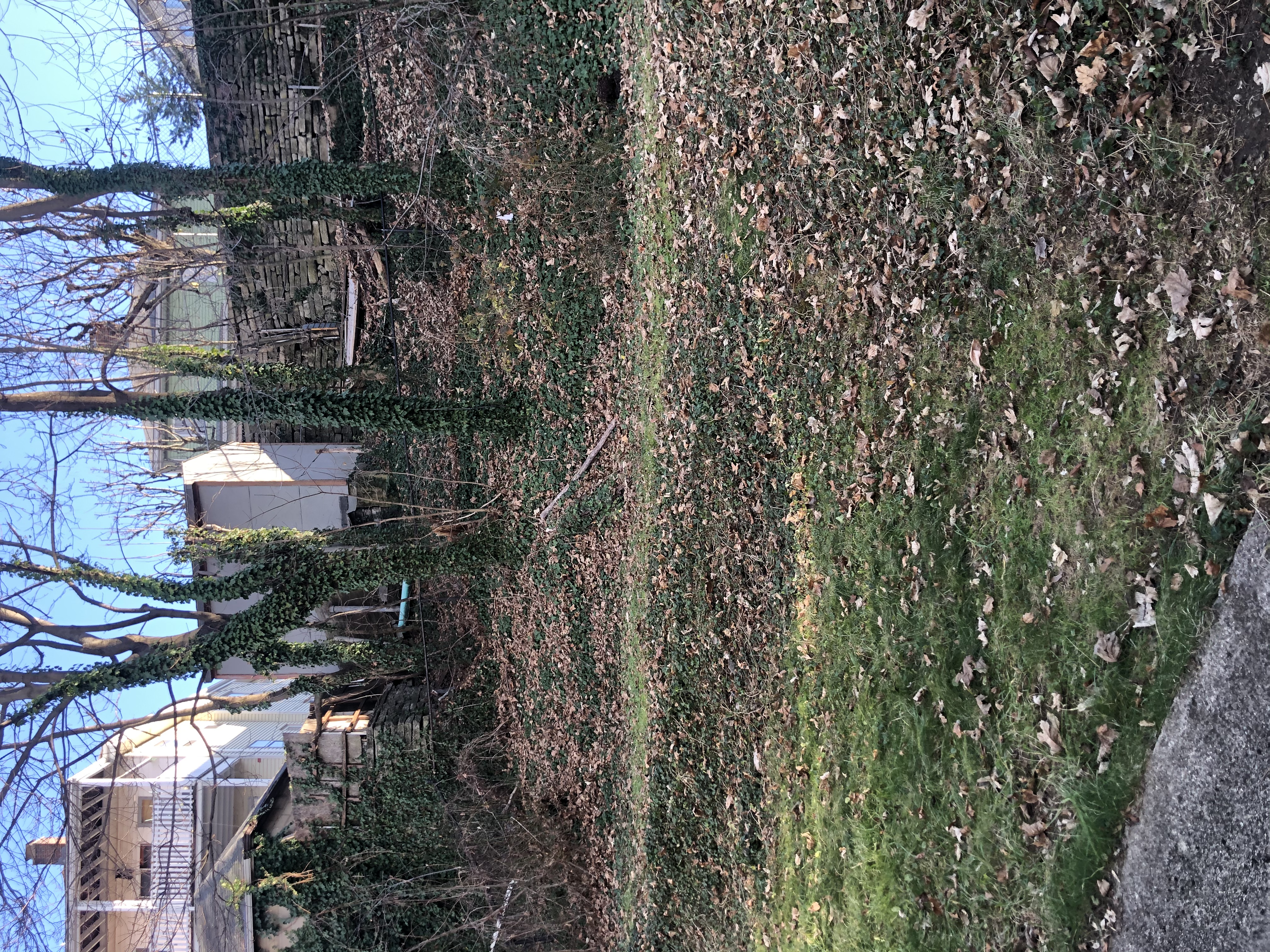 48 Nonantum St, Brighton