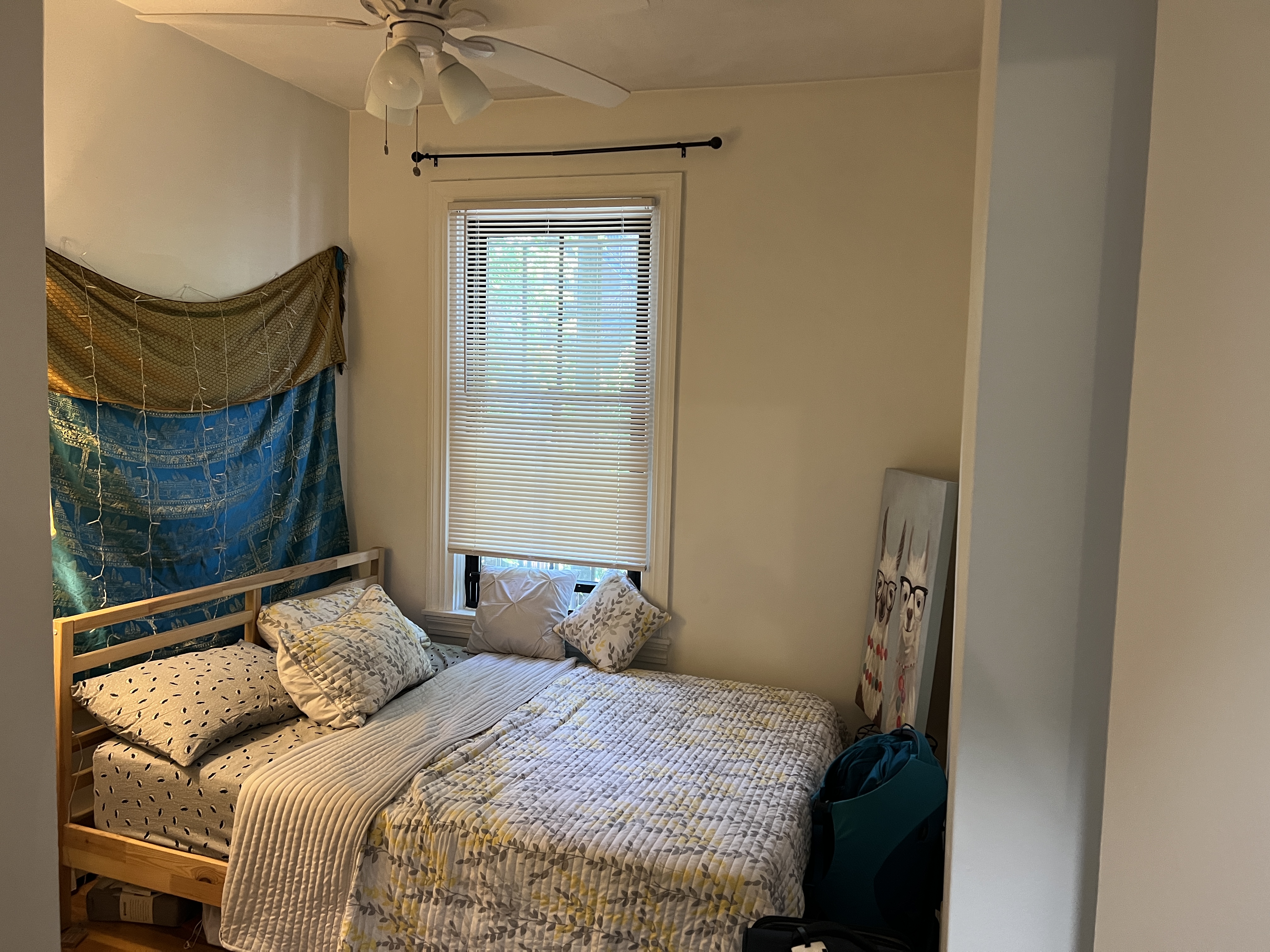 41 East Springfield St, South End