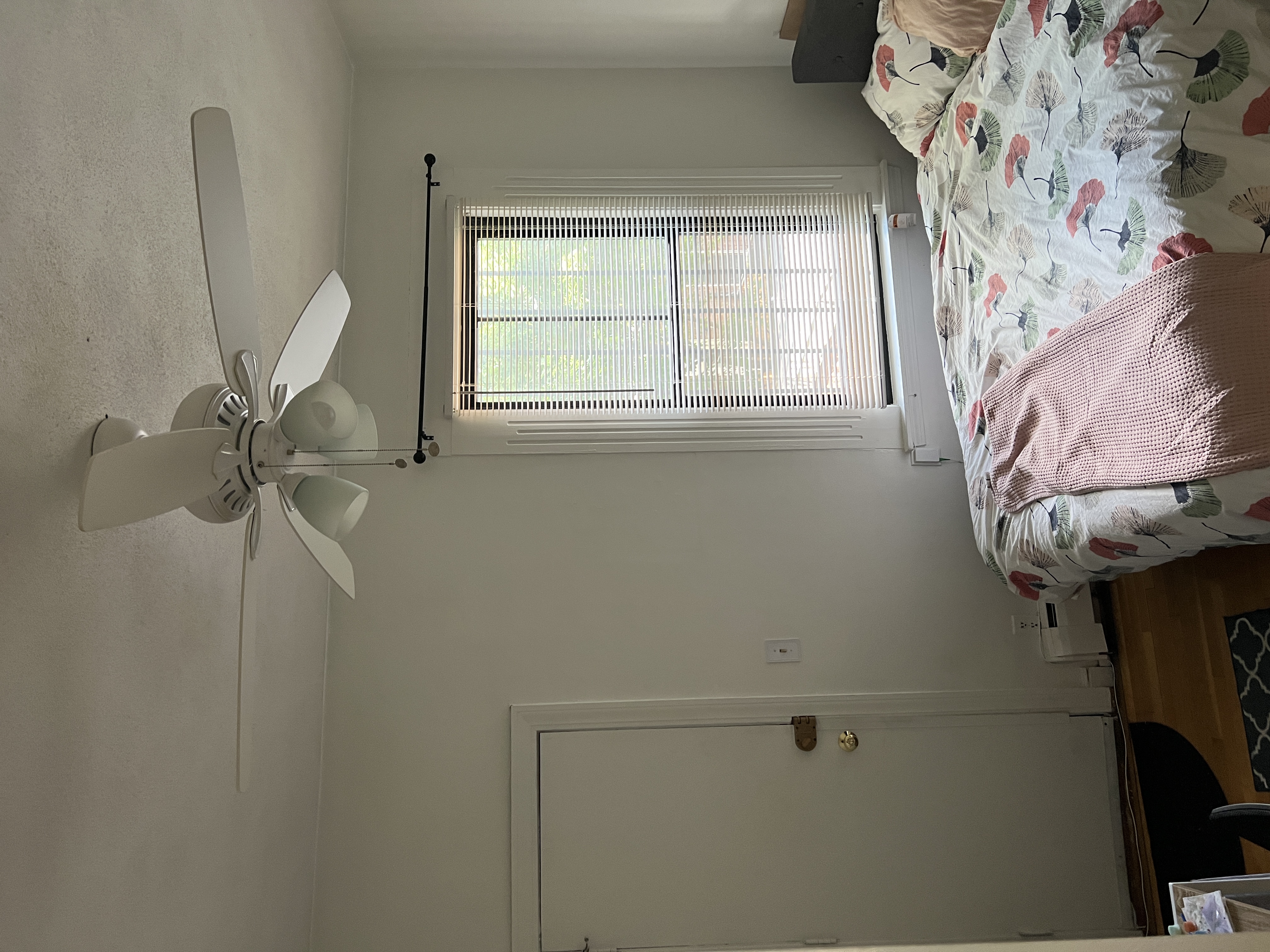 41 East Springfield St, South End