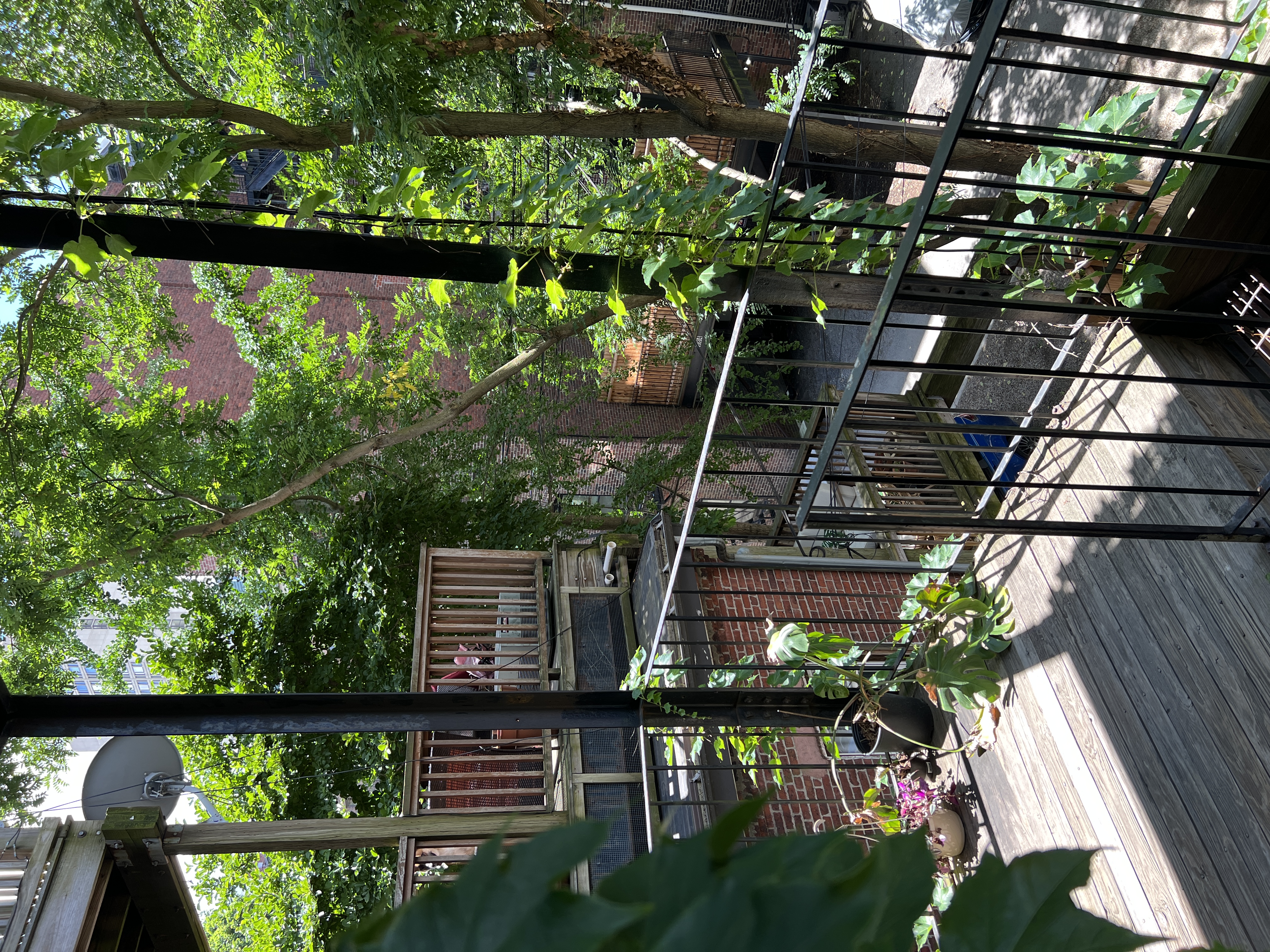 41 East Springfield St, South End