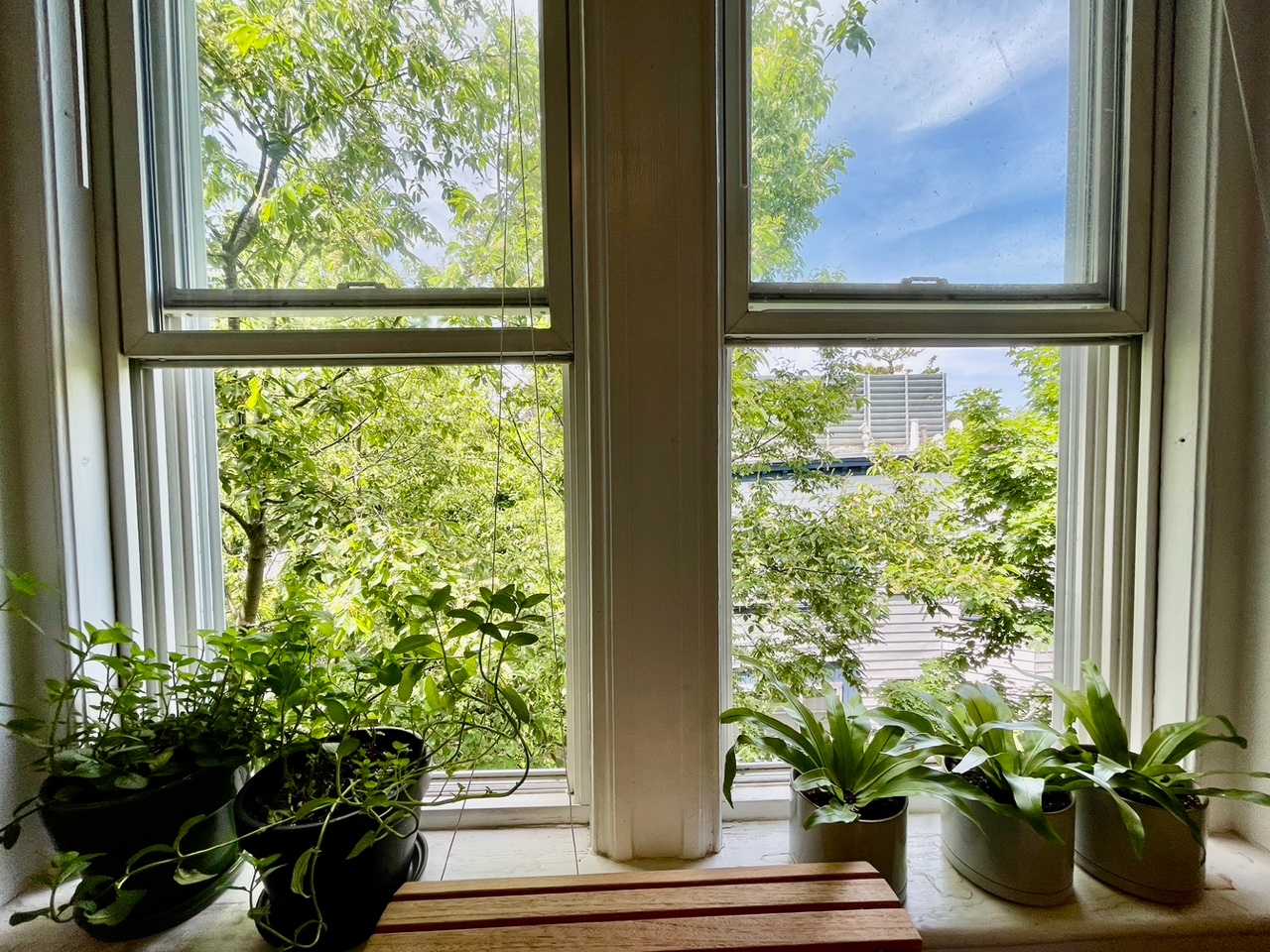 73 Martin St, Harvard Square