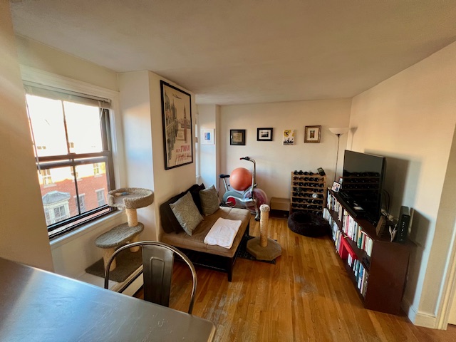 20 Hanson St, South End