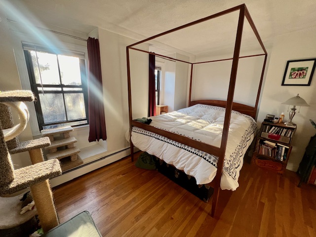 20 Hanson St, South End