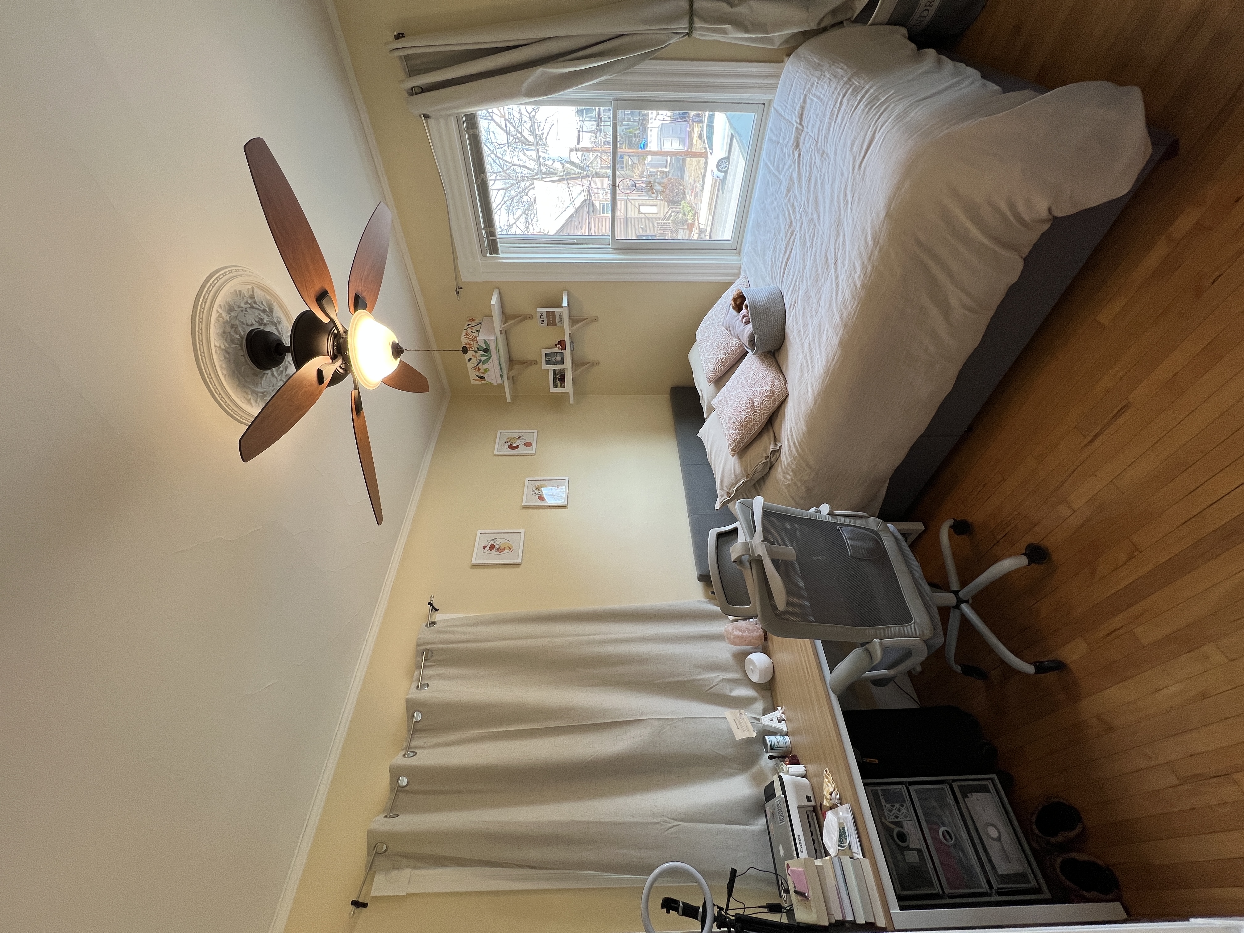 176 Elm, Davis Square