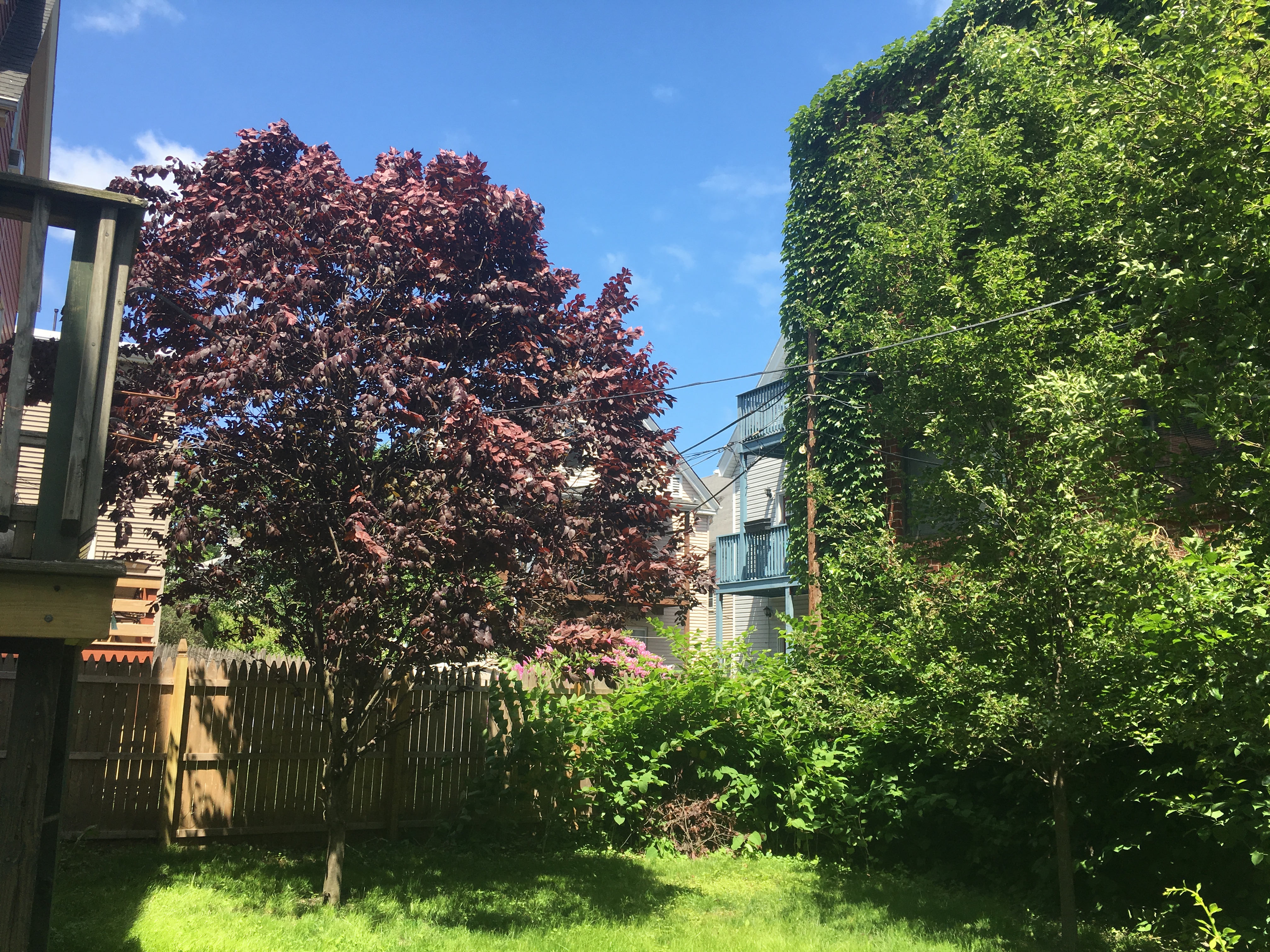 377 Highland Ave, Davis Square