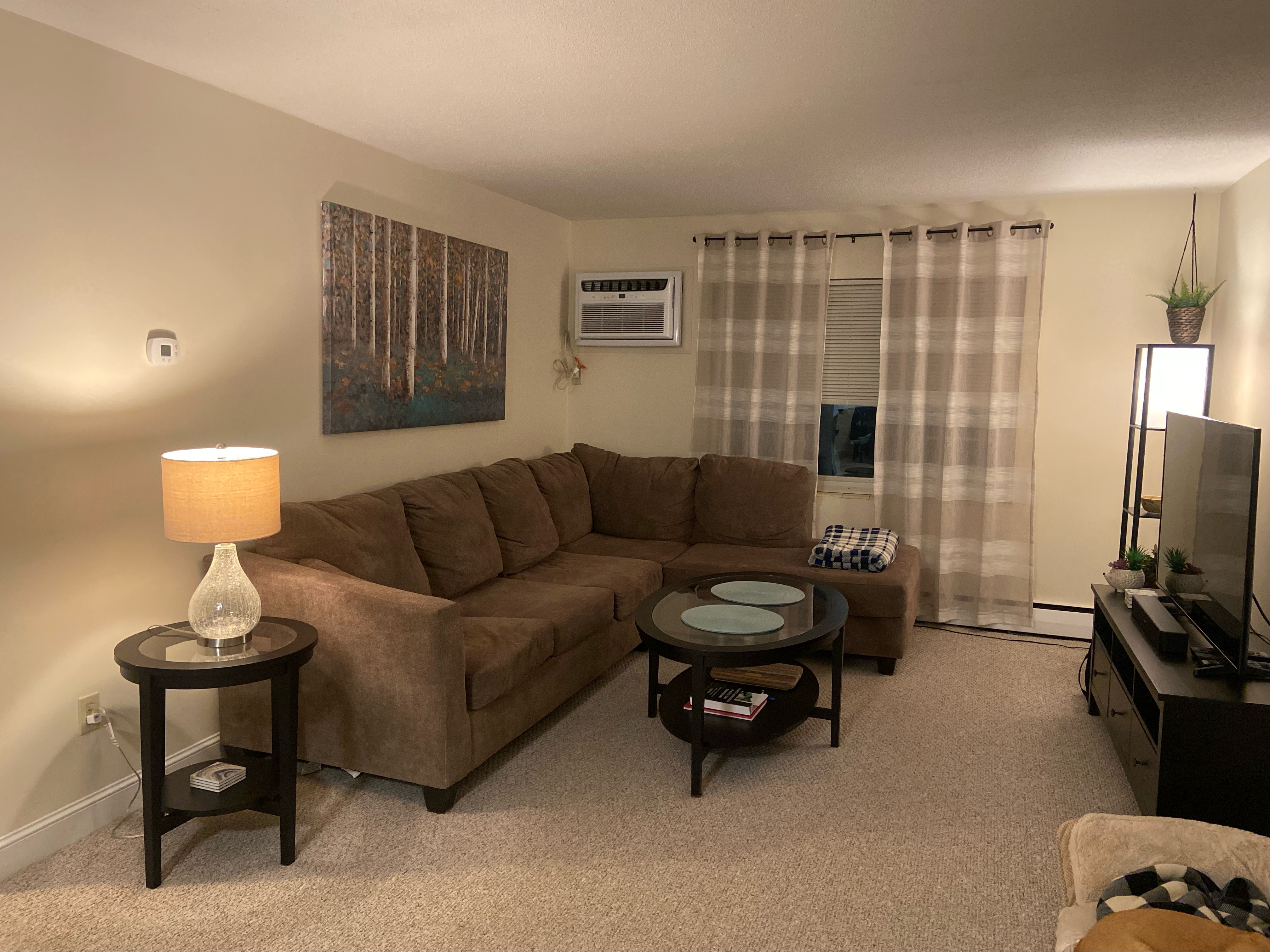 7 Brattle Dr, Arlington