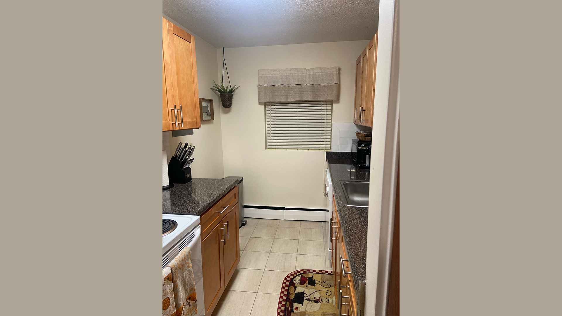 7 Brattle Dr, Arlington