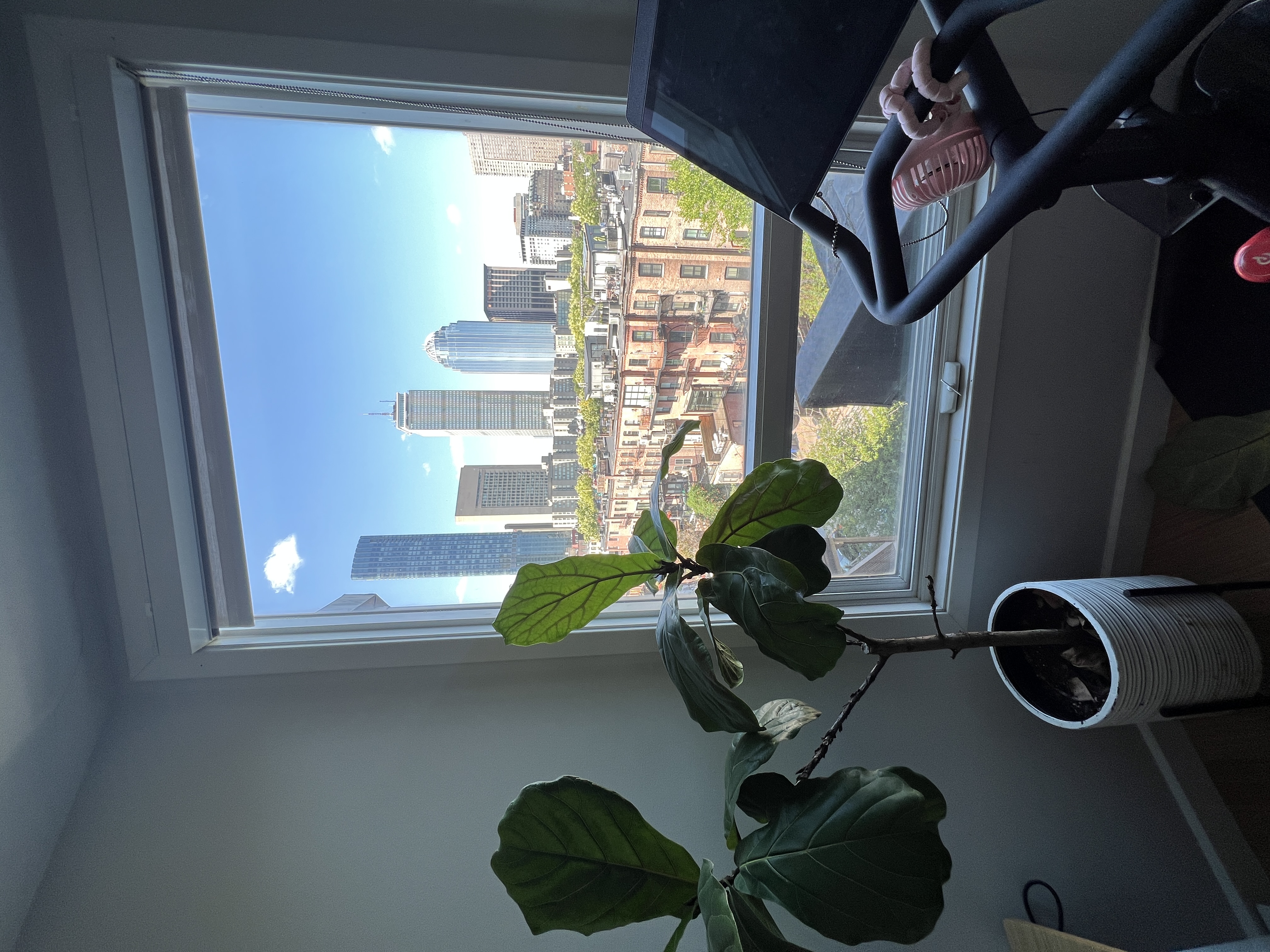 557 Columbus Ave, South End