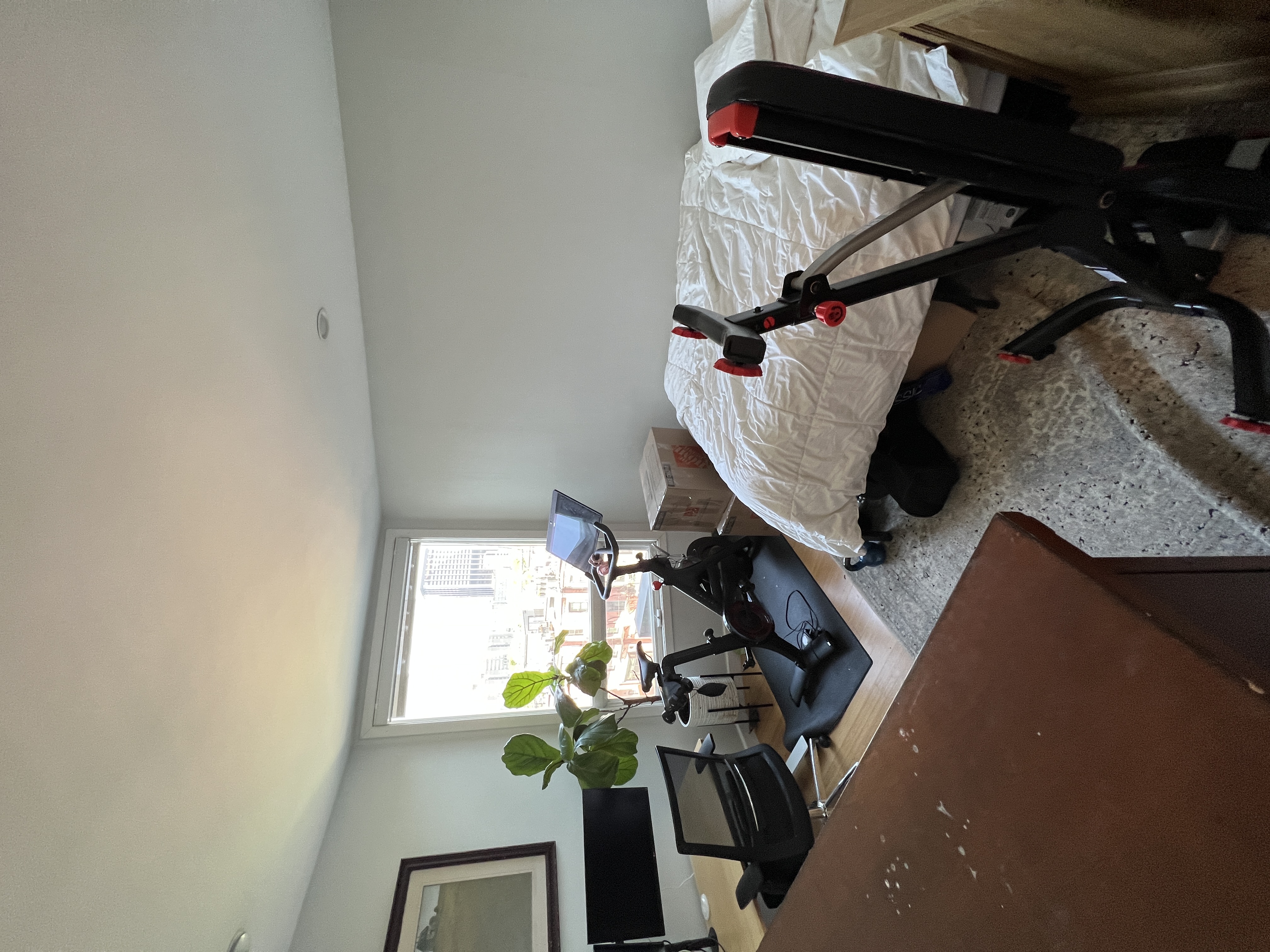 557 Columbus Ave, South End