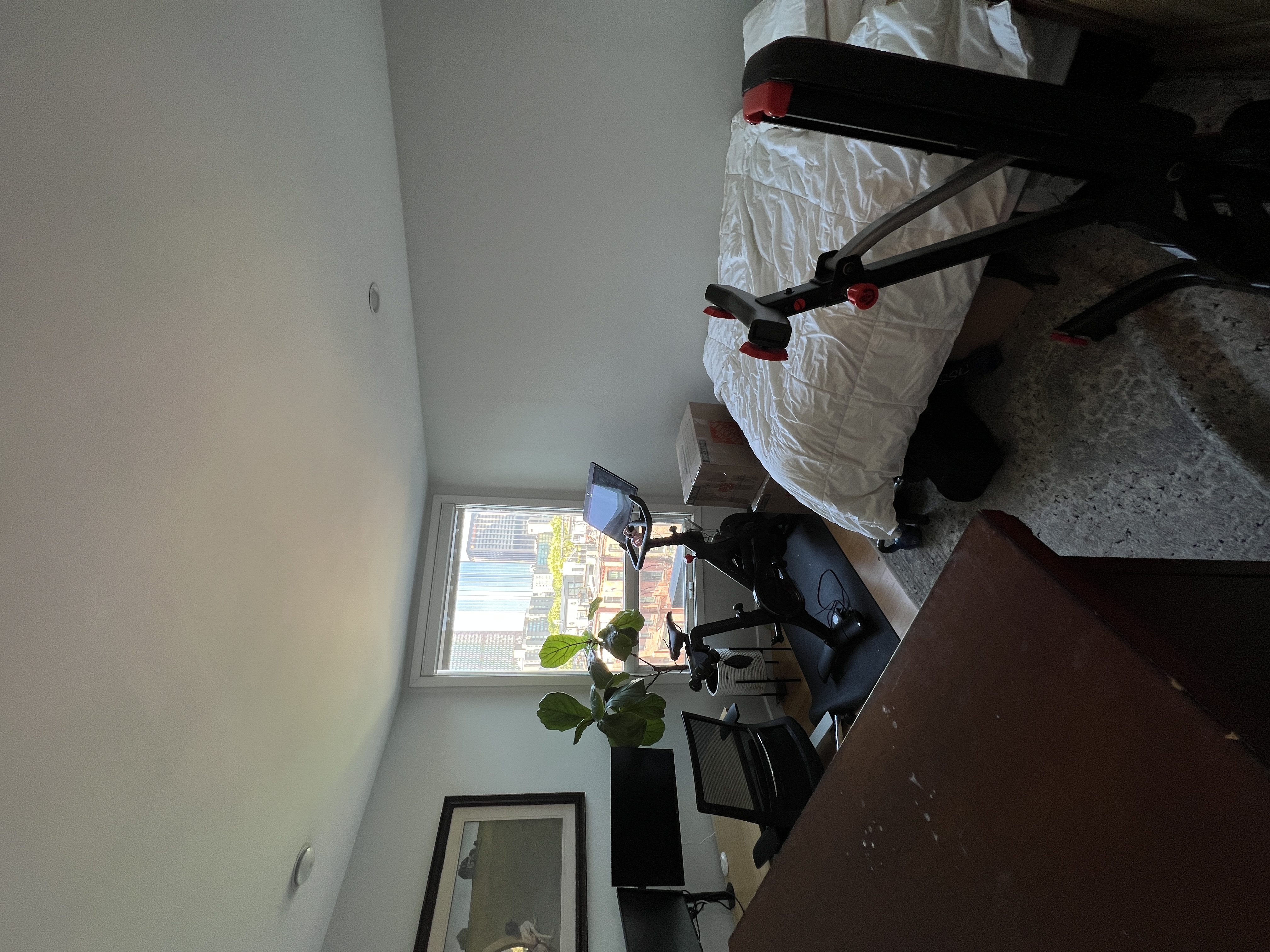 557 Columbus Ave, South End