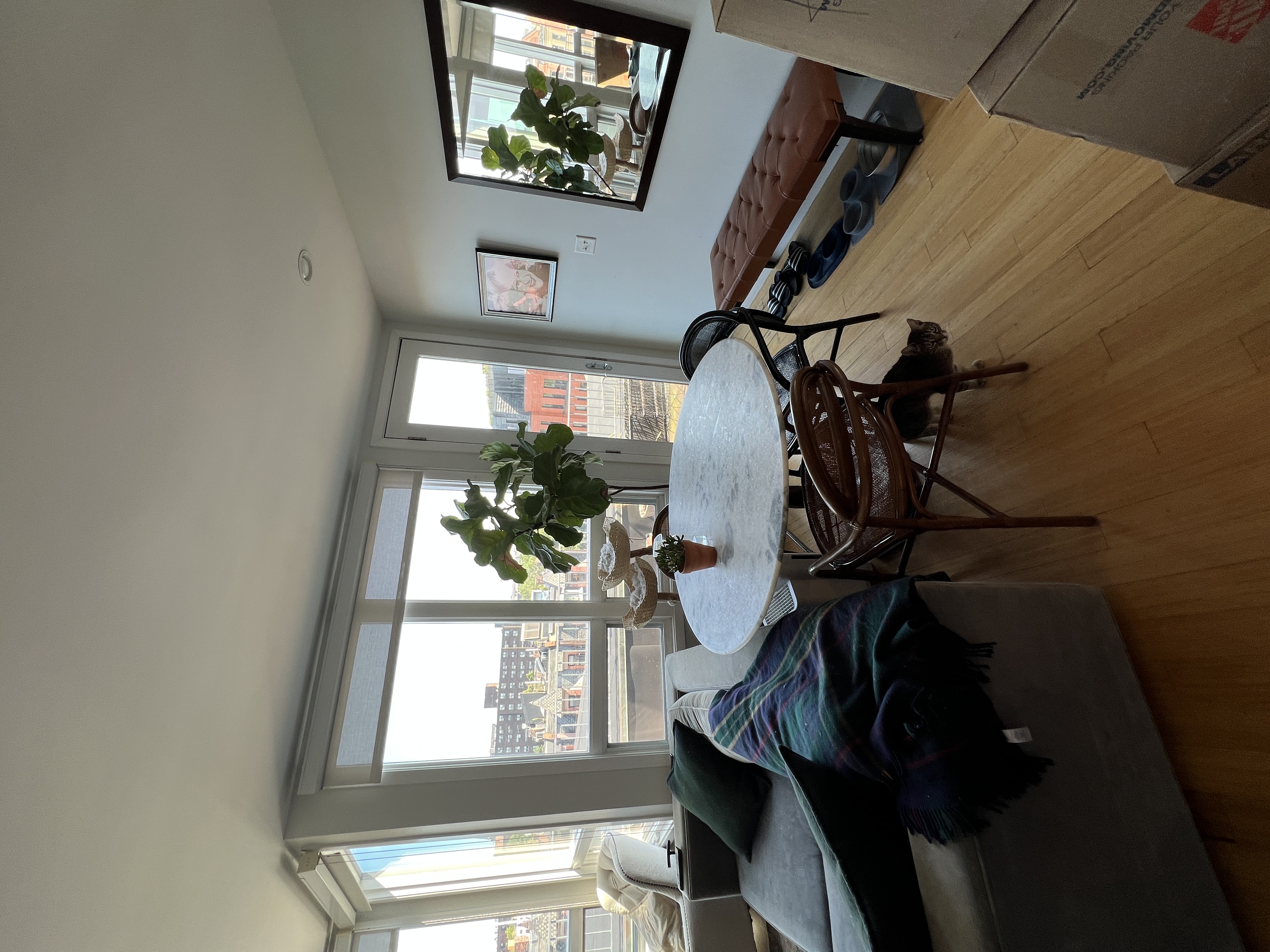 557 Columbus Ave, South End