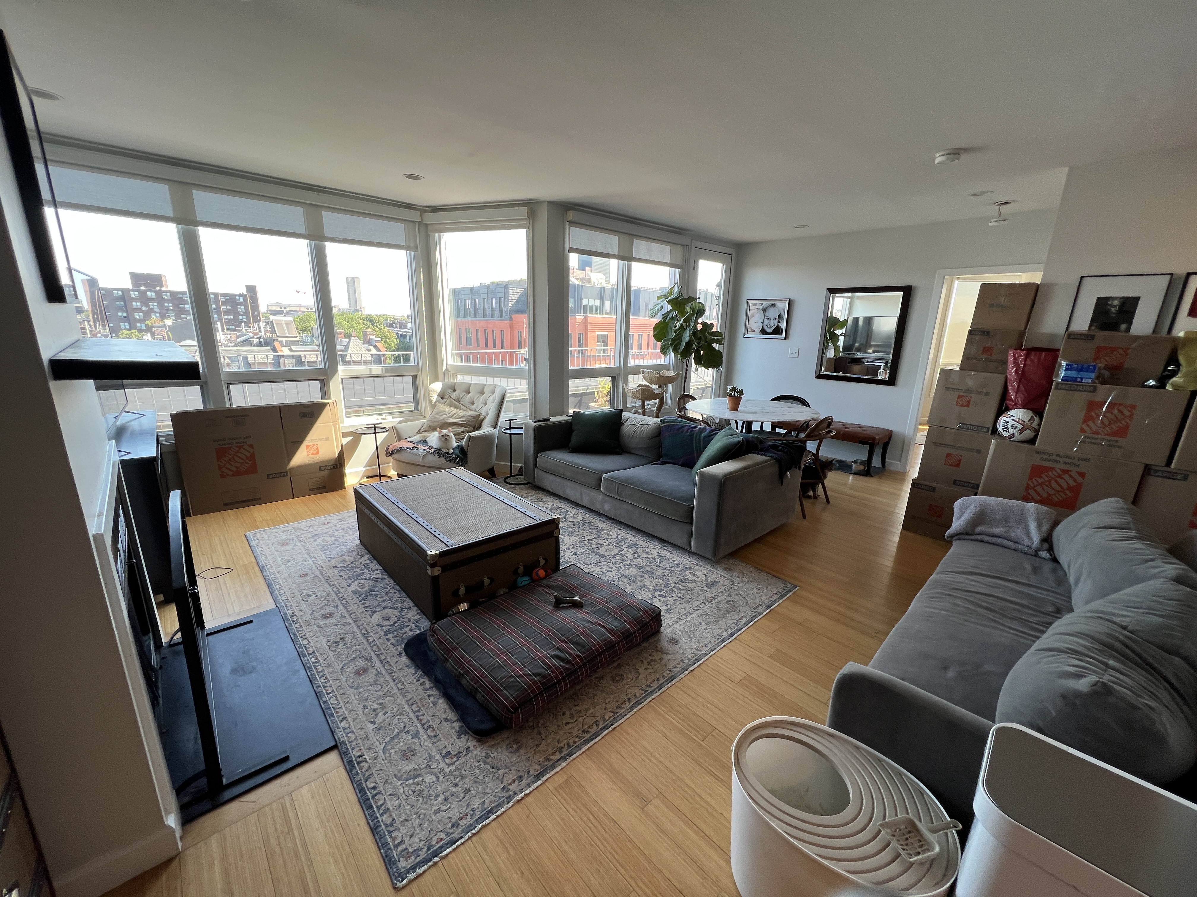 557 Columbus Ave, South End