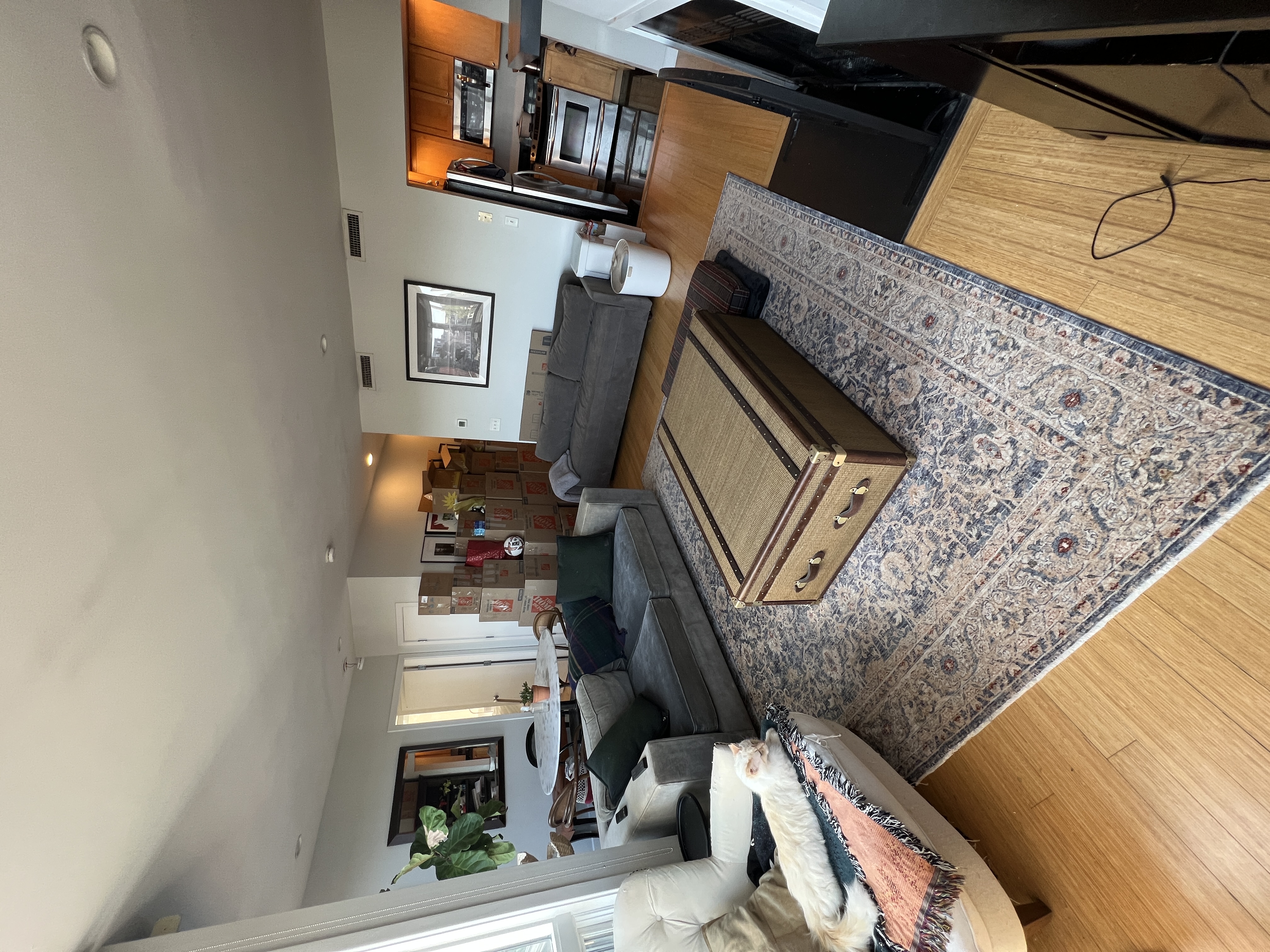 557 Columbus Ave, South End