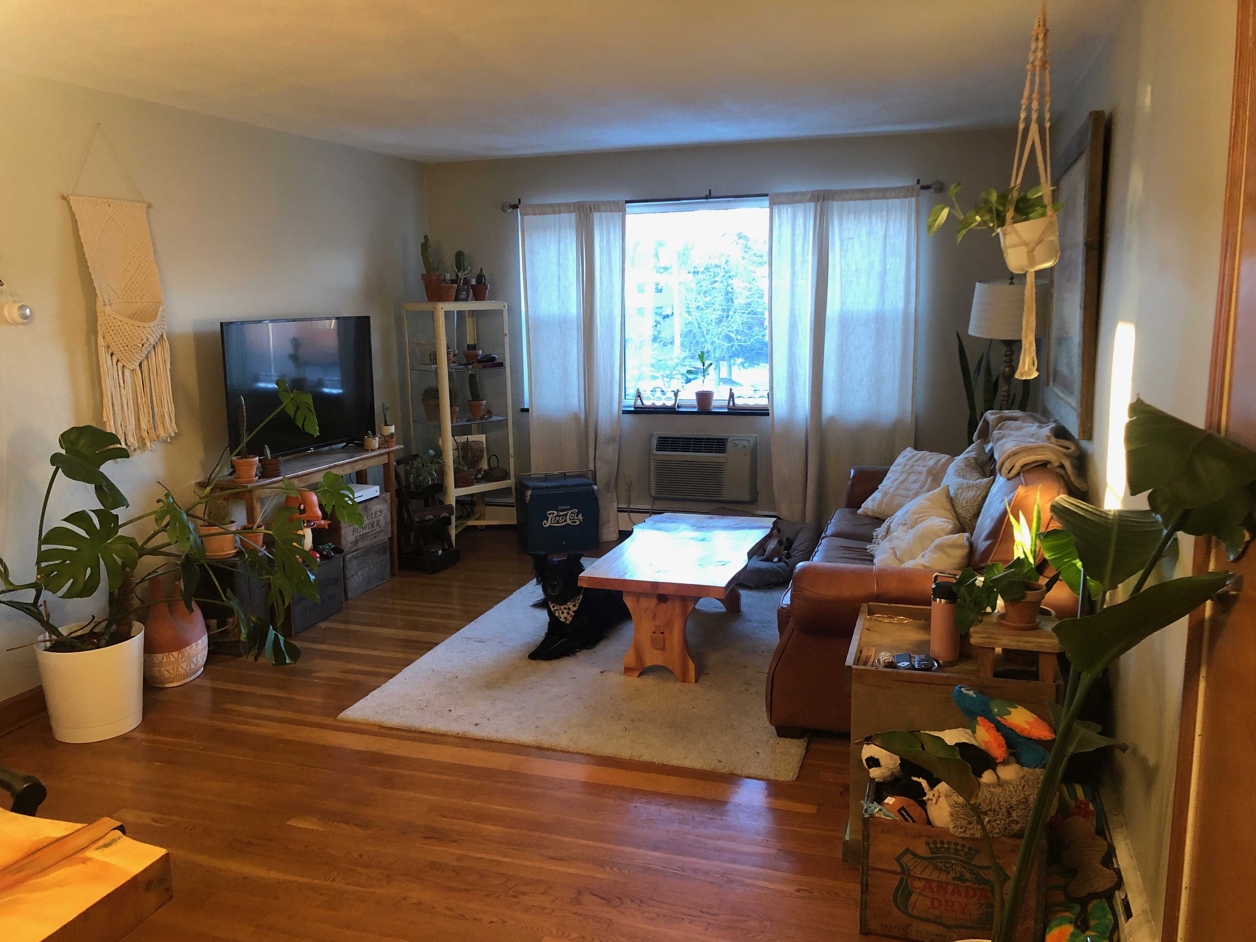 288 Grove St, Newton