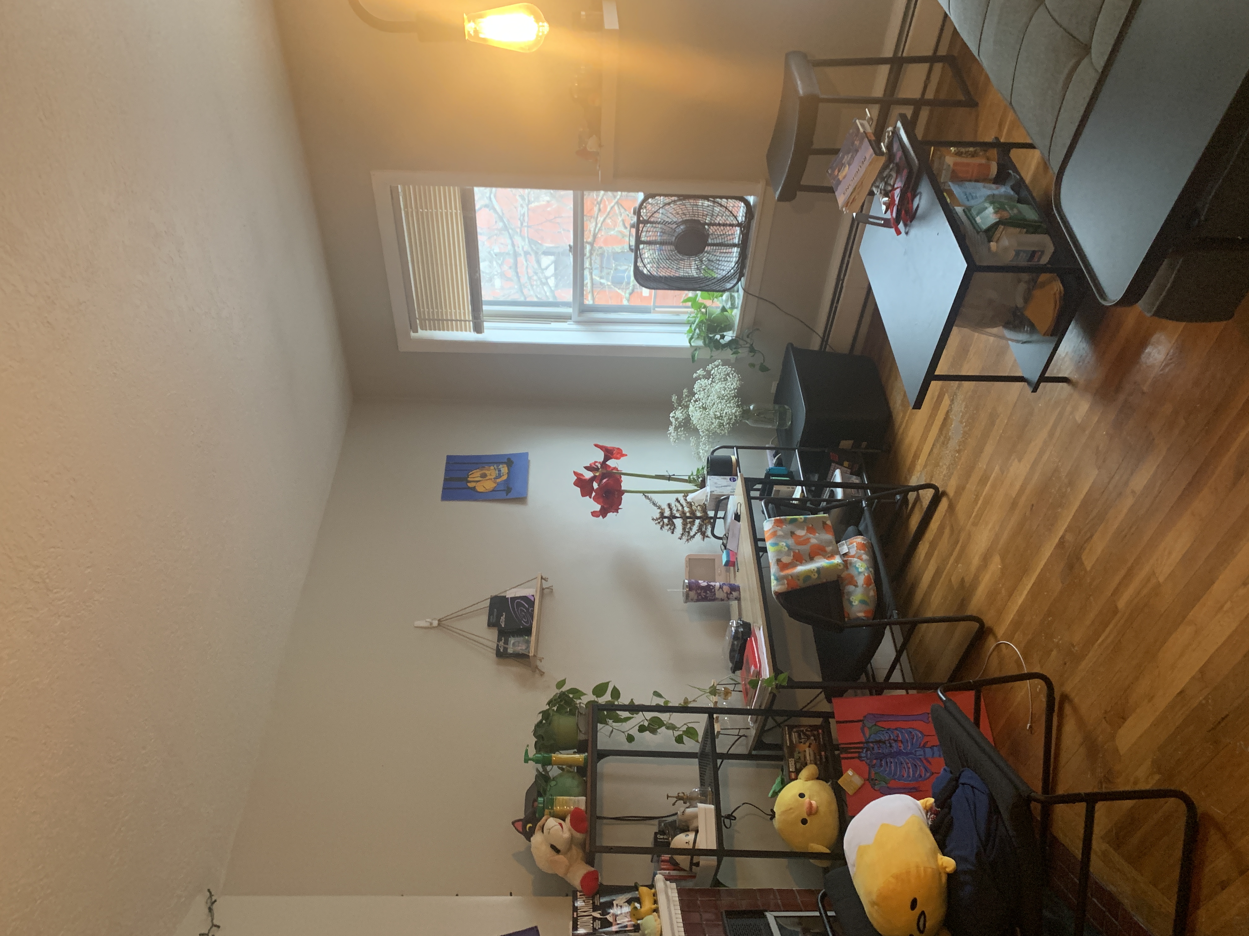 38 Gardent St, Beacon Hill