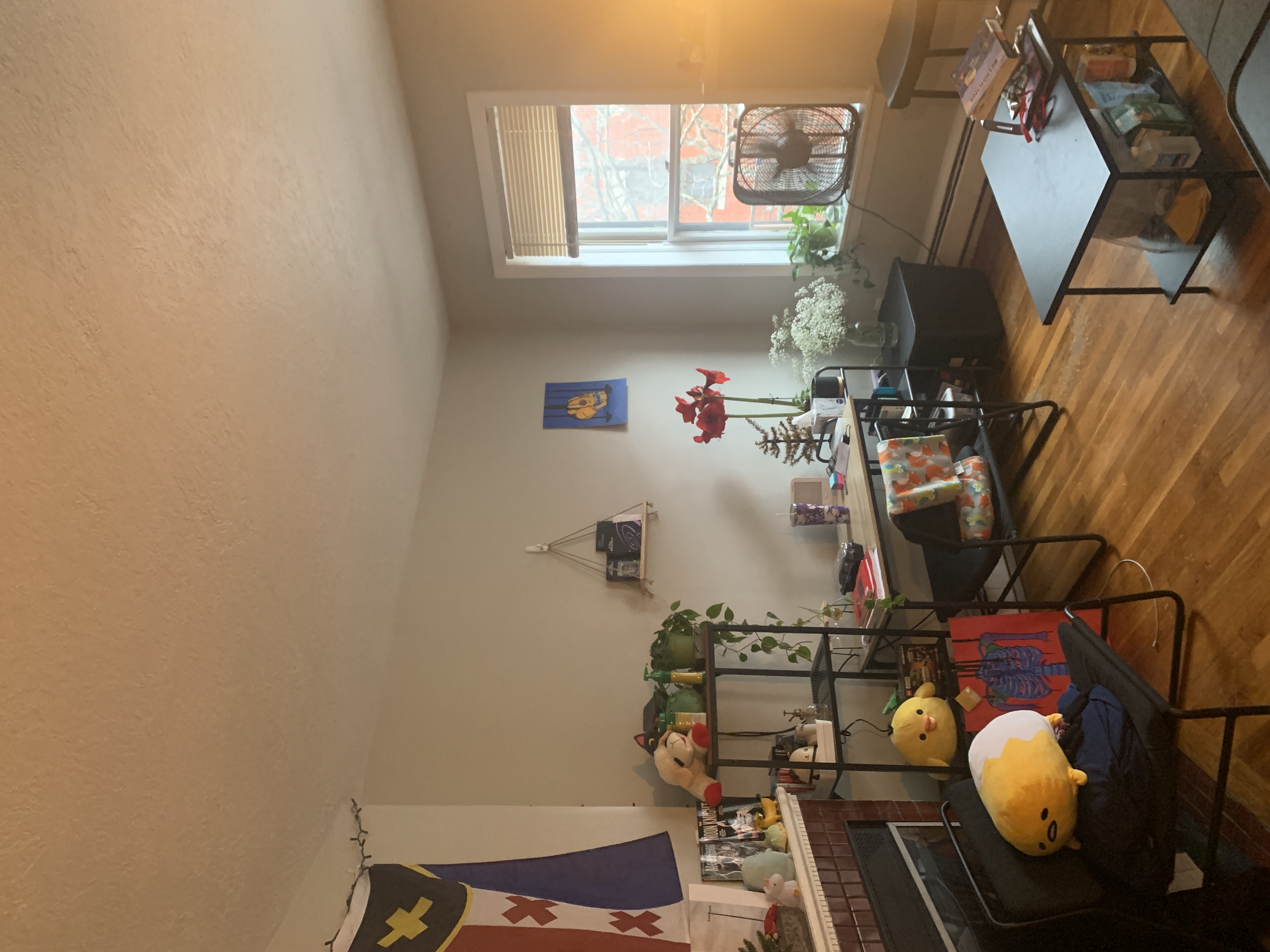 38 Gardent St, Beacon Hill