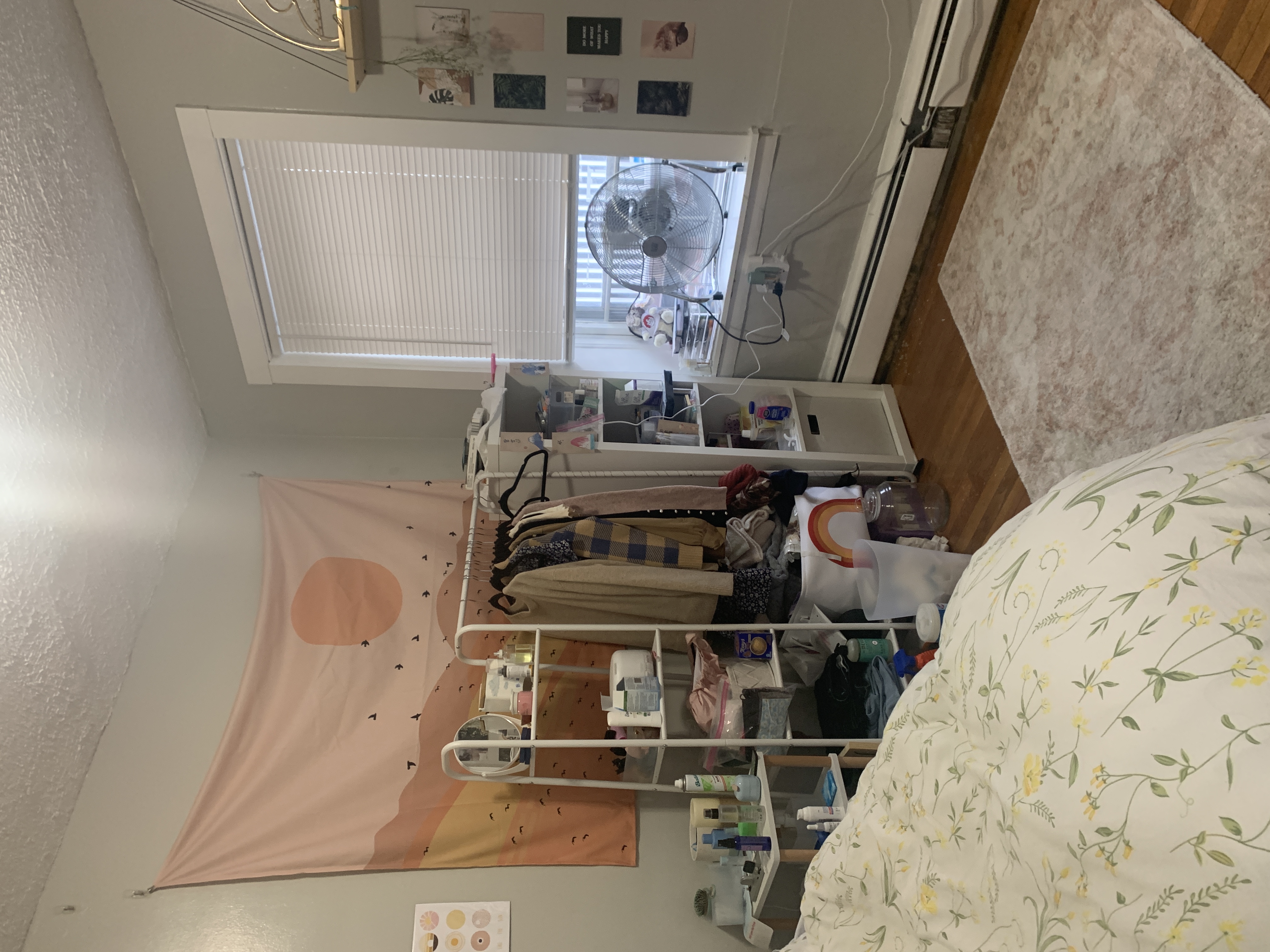 38 Gardent St, Beacon Hill