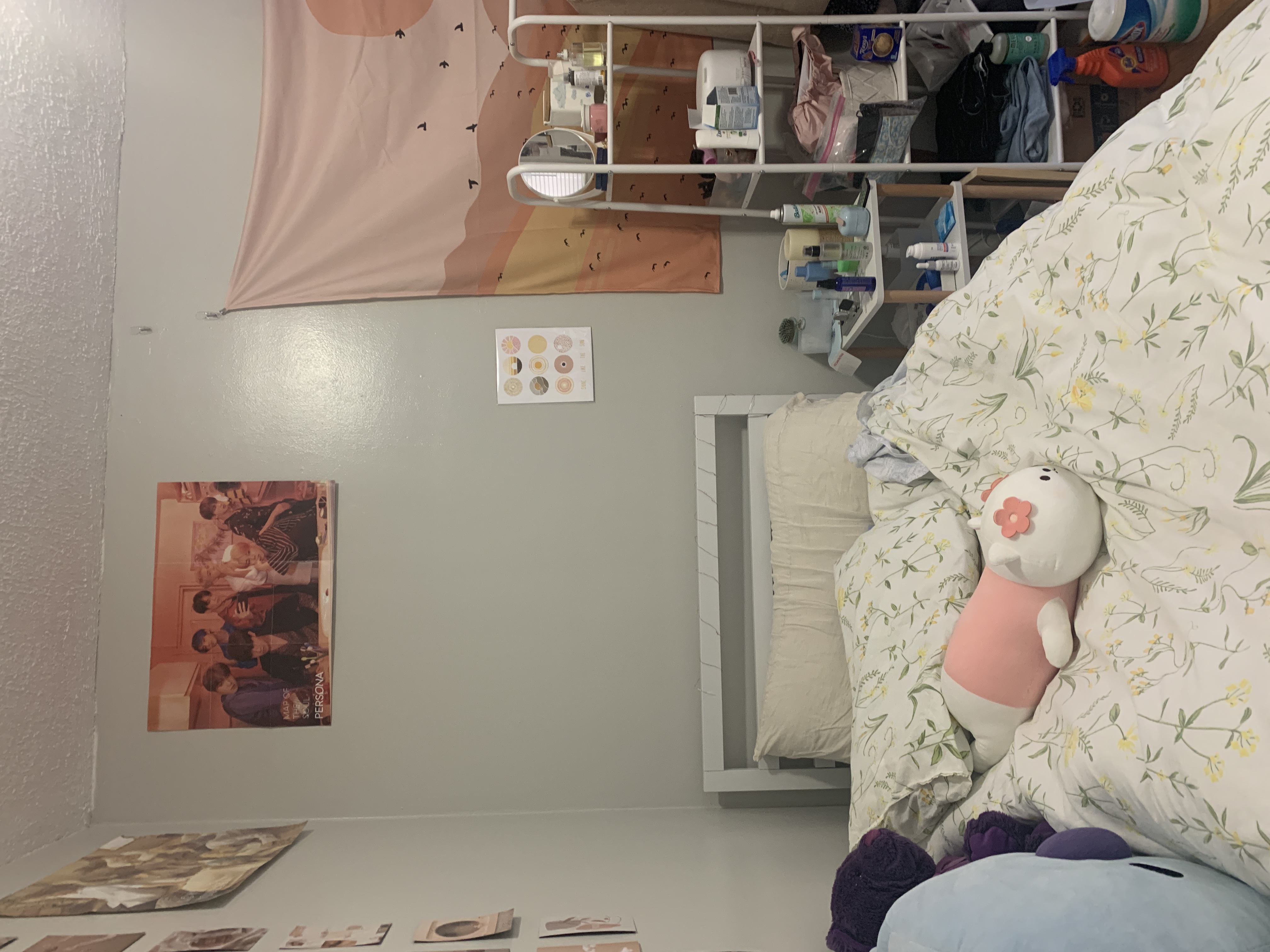 38 Gardent St, Beacon Hill